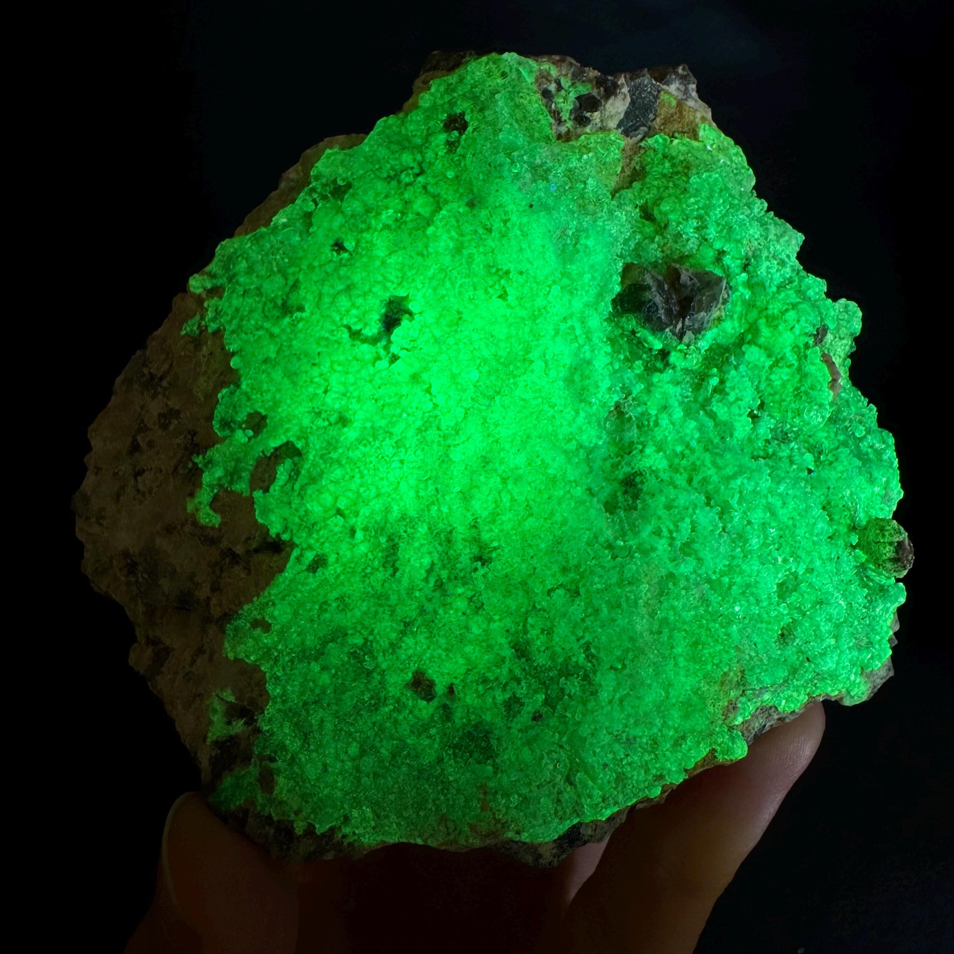 UV Reactive Hyalite Opal | Fluorescent Mineral Specimen from Namibia