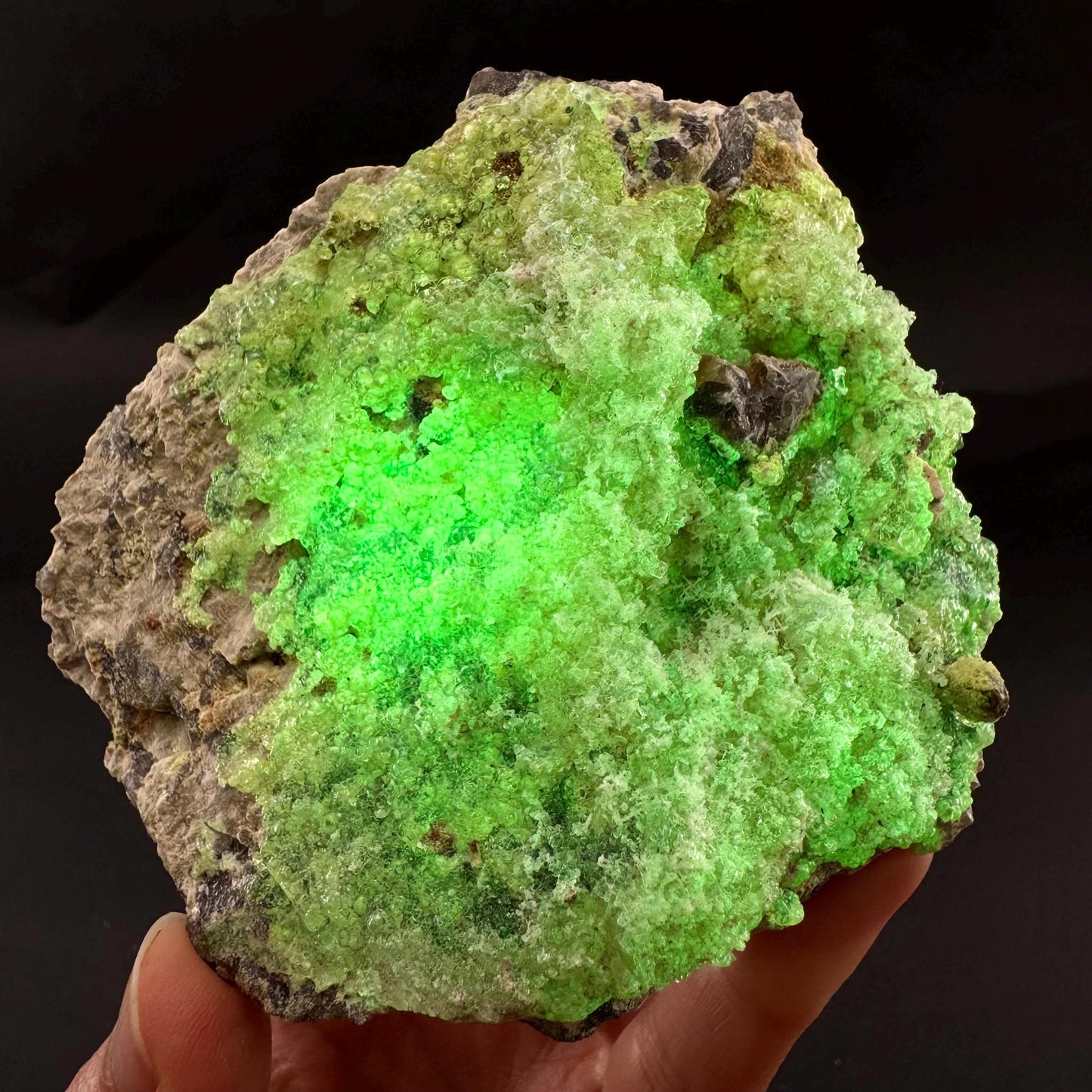 UV Reactive Hyalite Opal | Fluorescent Mineral Specimen from Namibia