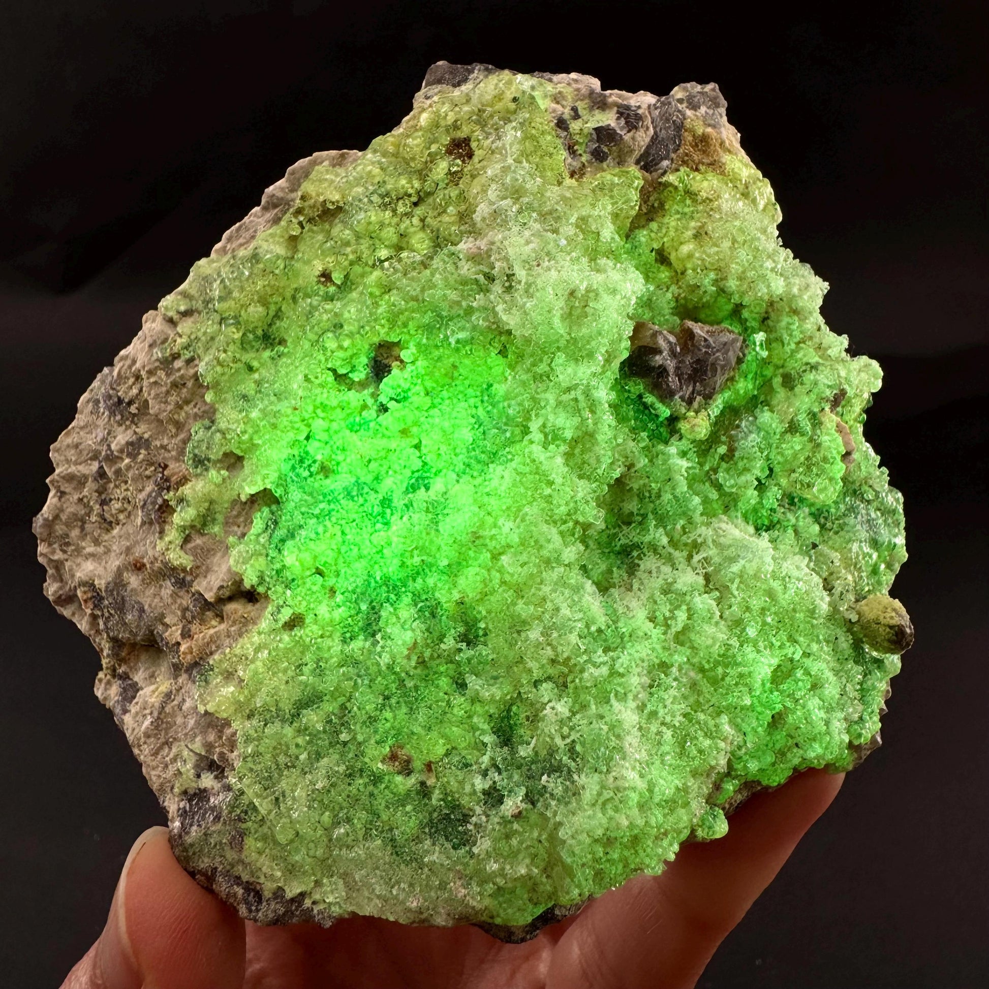 UV Reactive Hyalite Opal | Fluorescent Mineral Specimen from Namibia