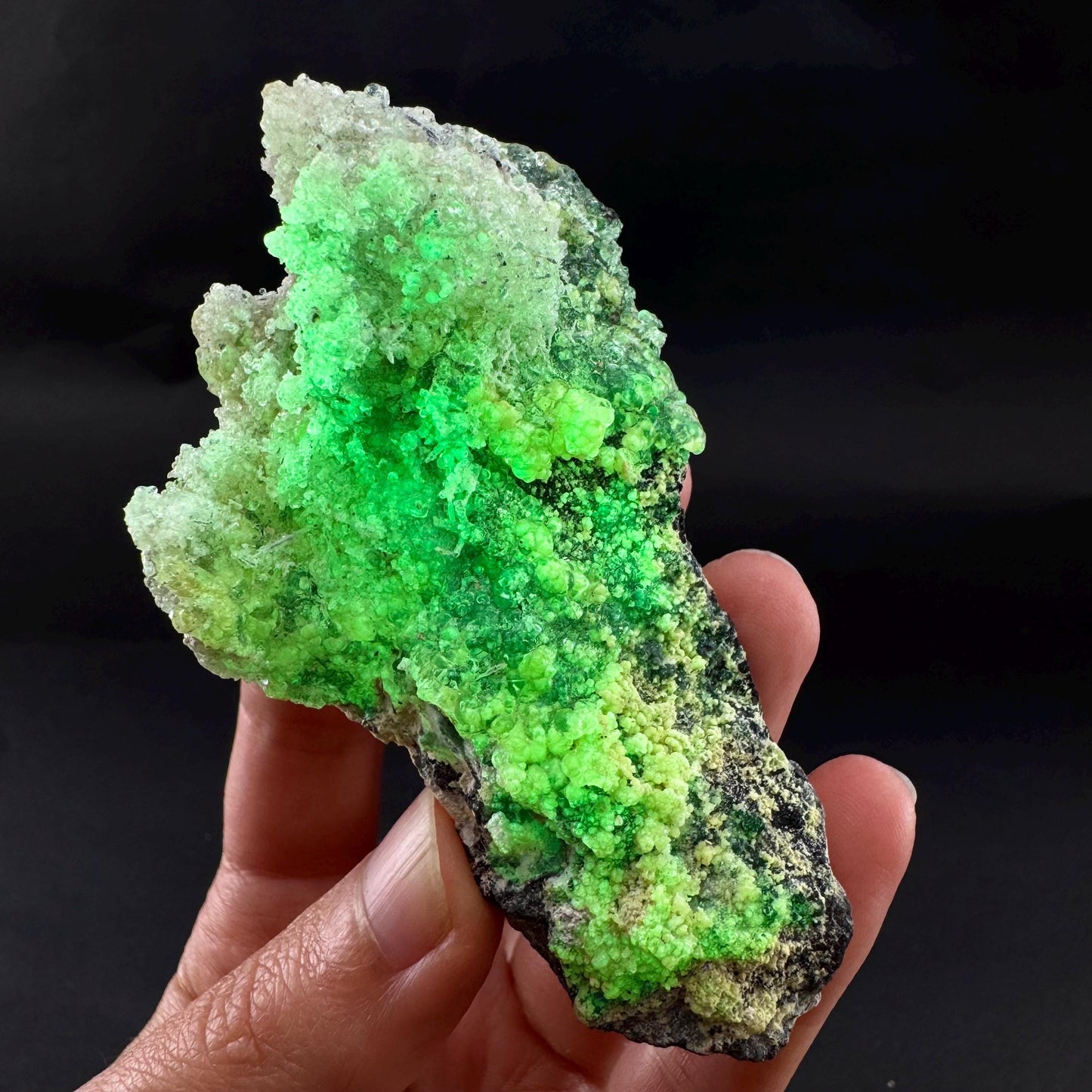 UV Reactive Hyalite Opal | Fluorescent Mineral Specimen from Namibia