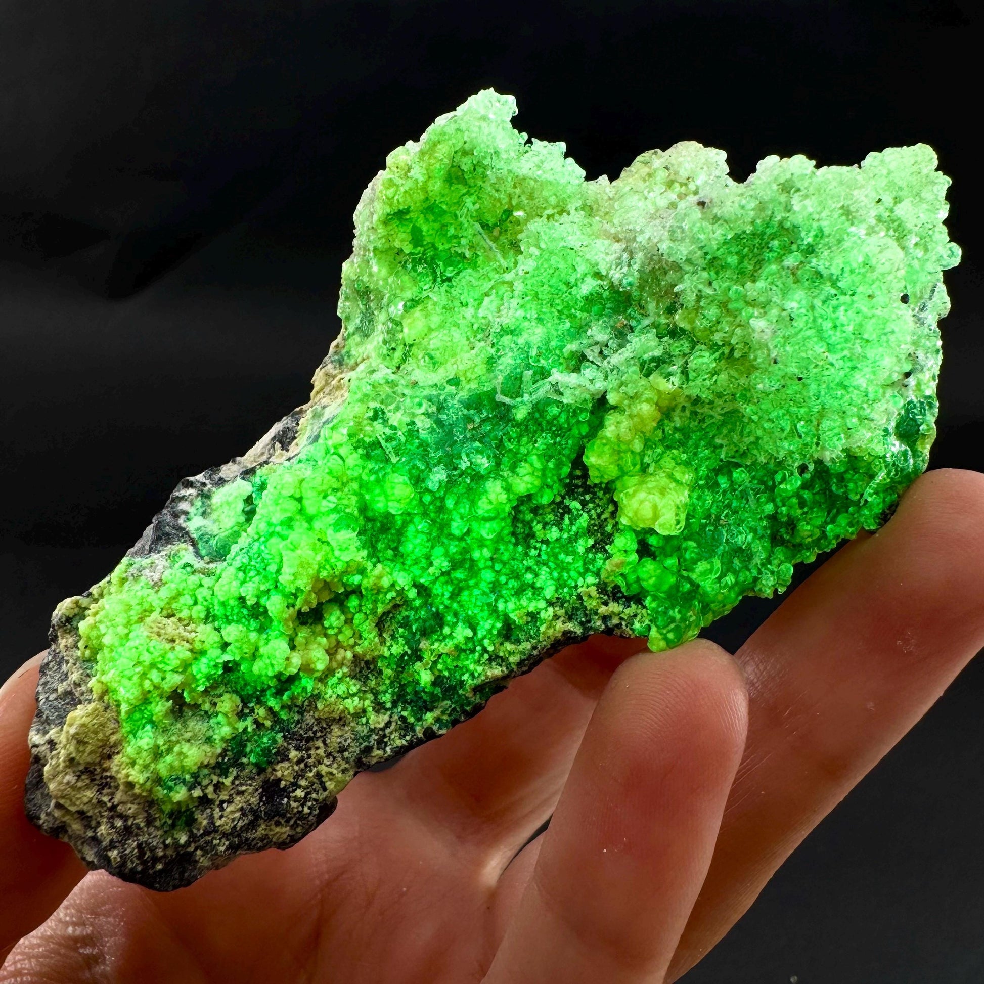 UV Reactive Hyalite Opal | Fluorescent Mineral Specimen from Namibia