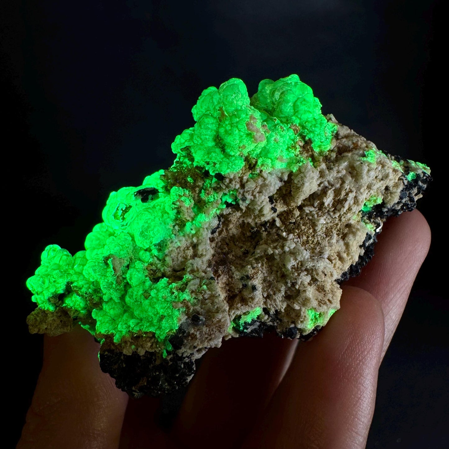 UV Reactive Hyalite Opal on Black Tourmaline | Fluorescent Mineral Specimen from Namibia