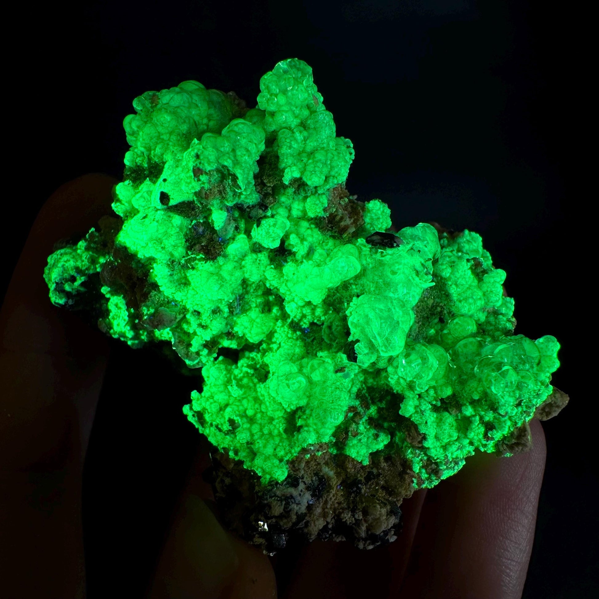 UV Reactive Hyalite Opal on Black Tourmaline | Fluorescent Mineral Specimen from Namibia