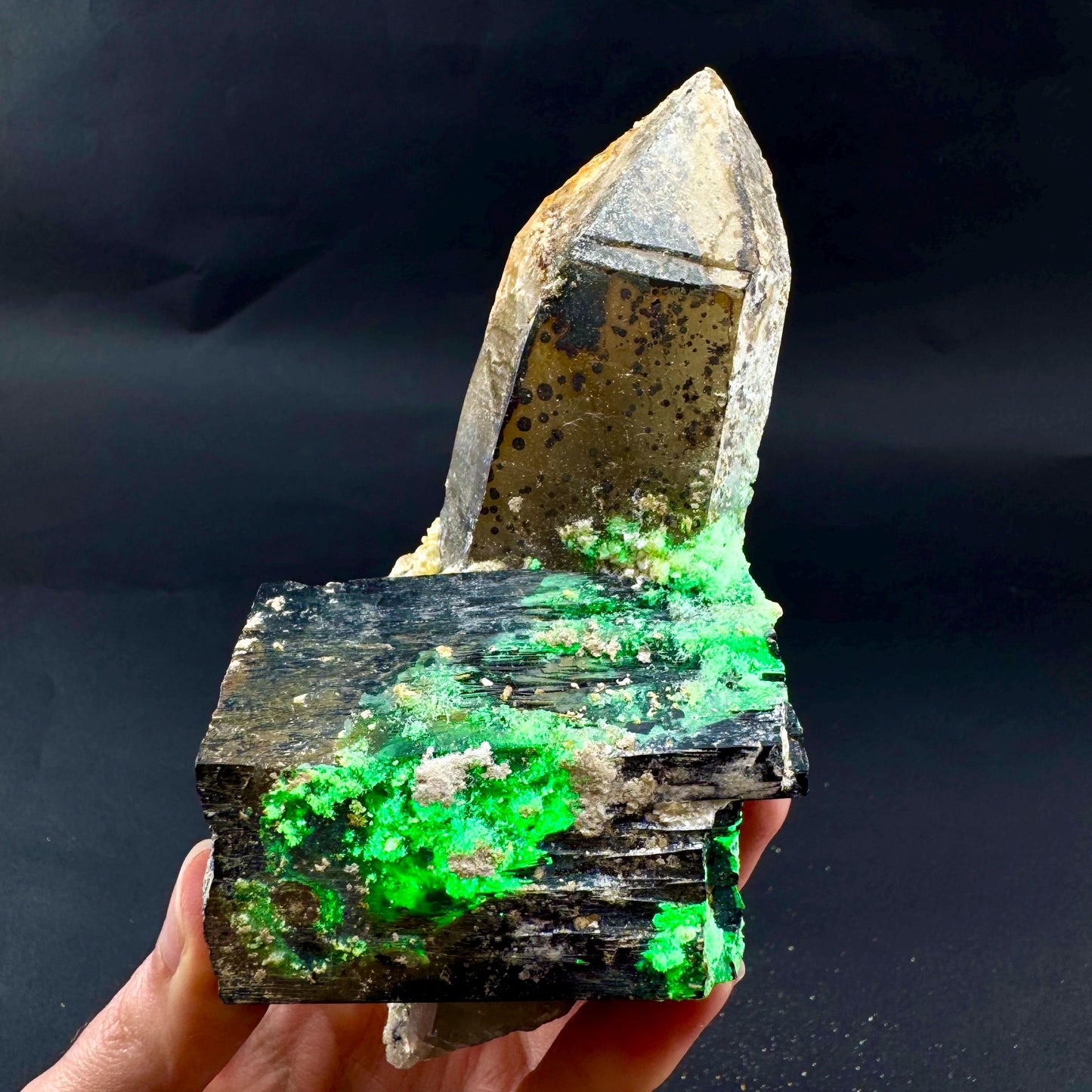 UV Reactive Hyalite Opal w/ Smoky Quartz & Black Tourmaline | Fluorescent Mineral Specimen from Namibia