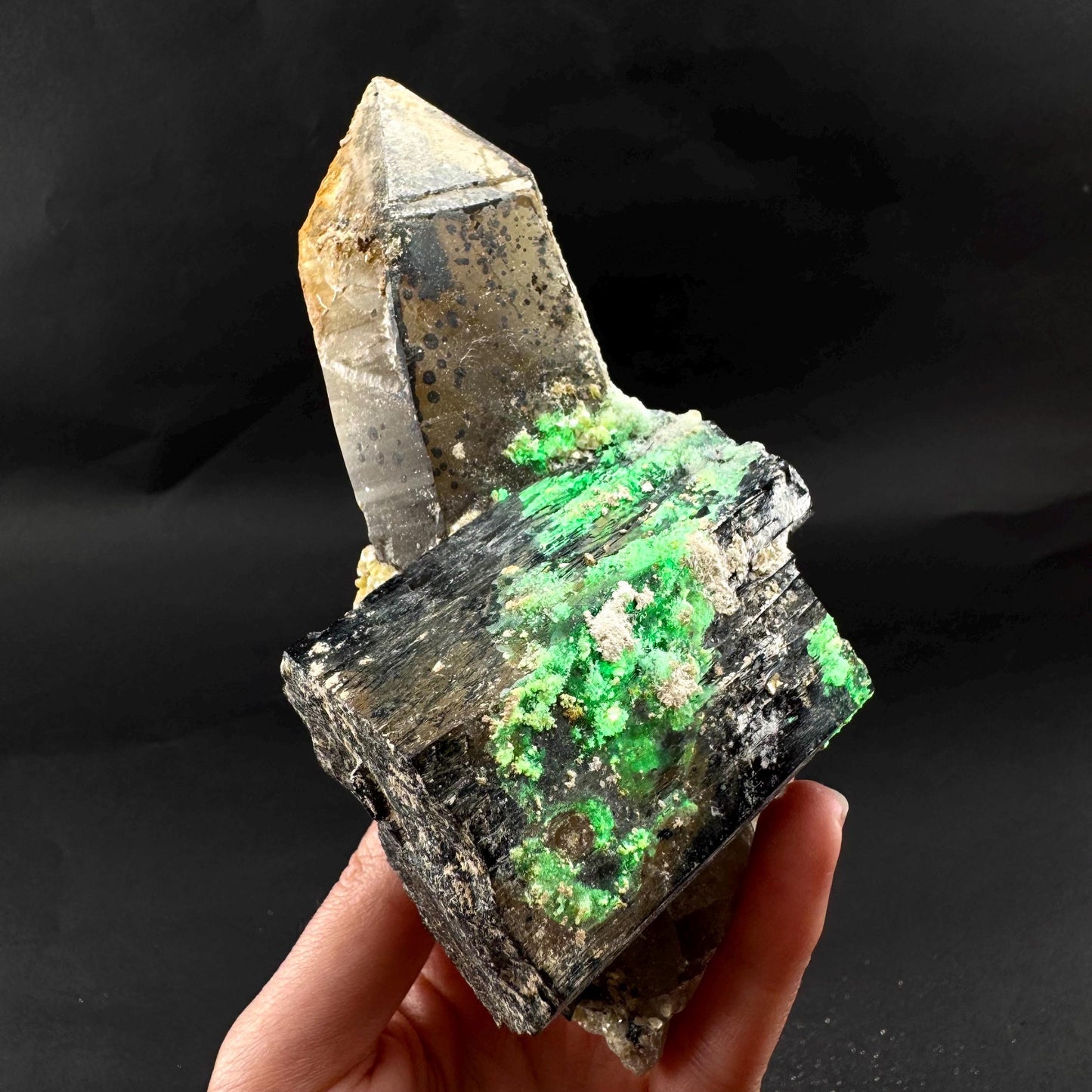 UV Reactive Hyalite Opal w/ Smoky Quartz & Black Tourmaline | Fluorescent Mineral Specimen from Namibia