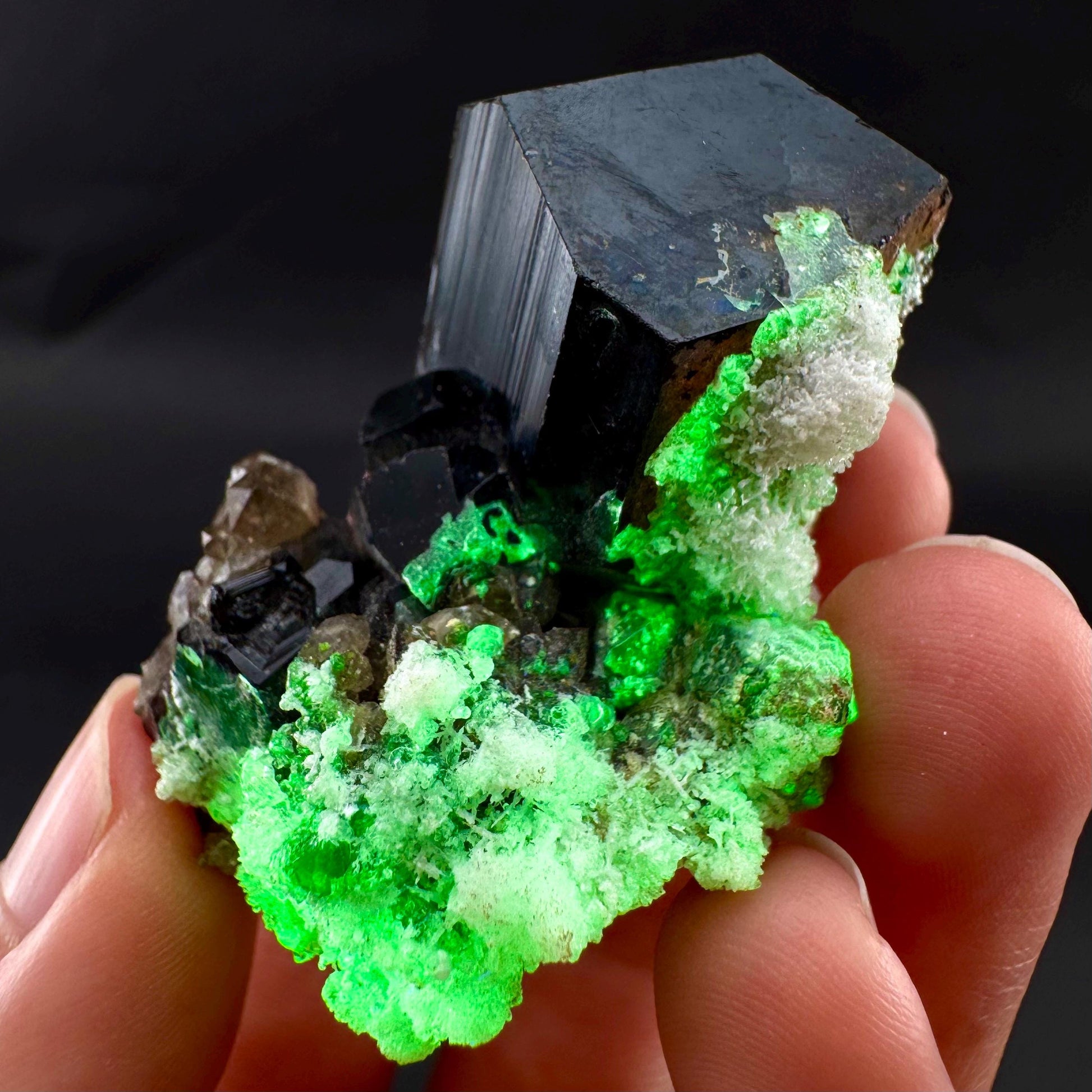 UV Reactive Hyalite Opal w/ Smoky Quartz & Black Tourmaline | Fluorescent Mineral Specimen from Namibia