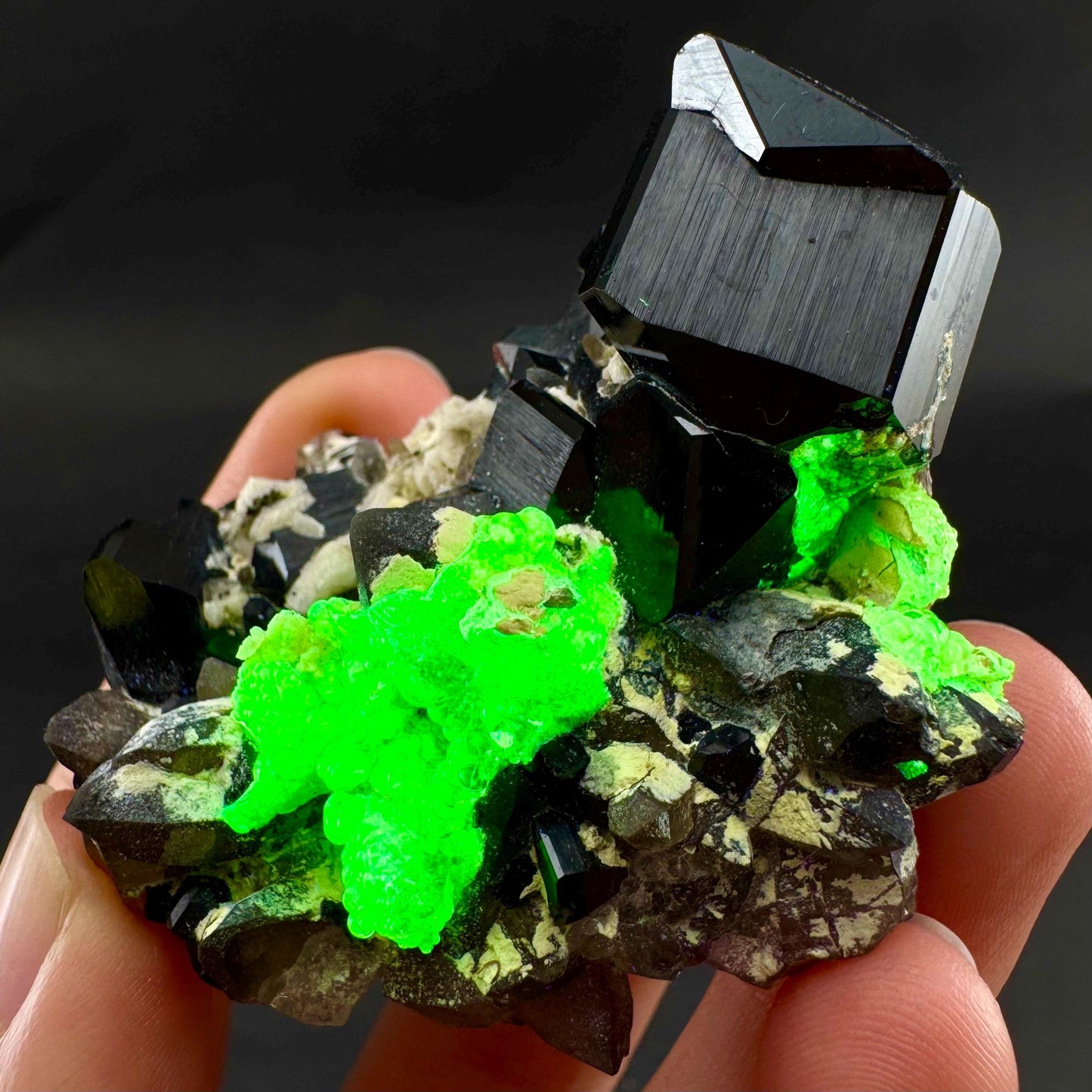 UV Reactive Hyalite Opal on Black Tourmaline | Fluorescent Mineral Specimen from Namibia