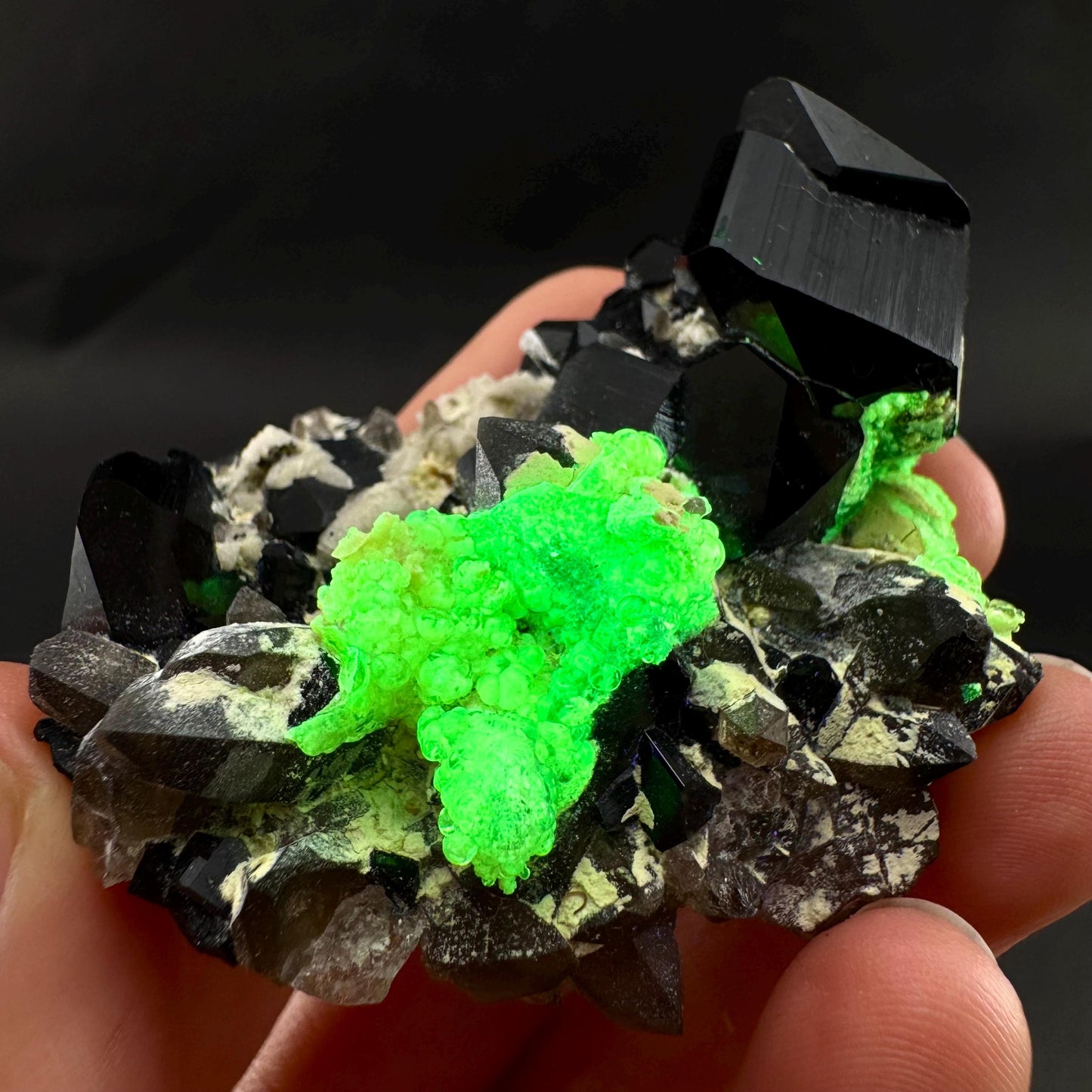 UV Reactive Hyalite Opal on Black Tourmaline | Fluorescent Mineral Specimen from Namibia