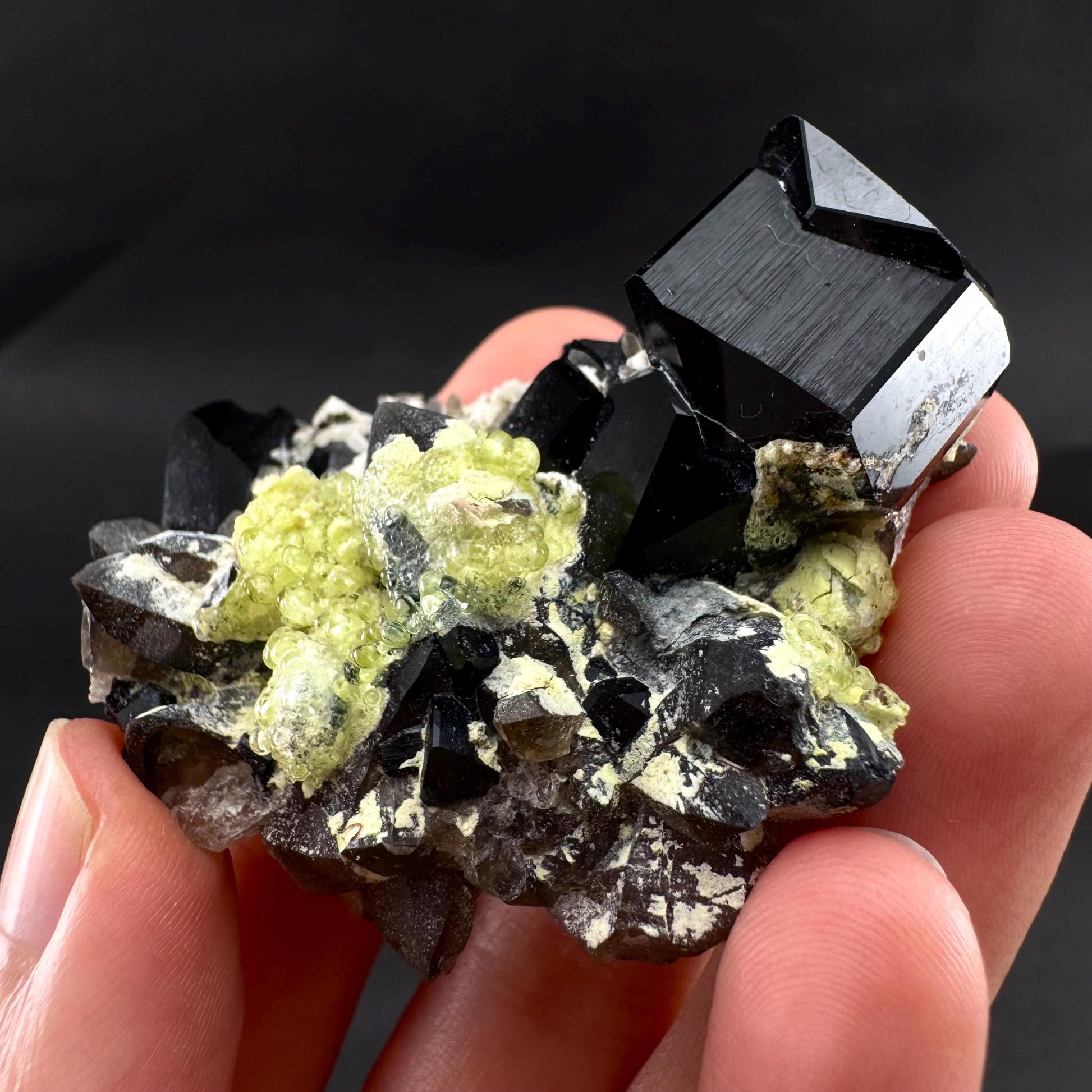 UV Reactive Hyalite Opal on Black Tourmaline | Fluorescent Mineral Specimen from Namibia