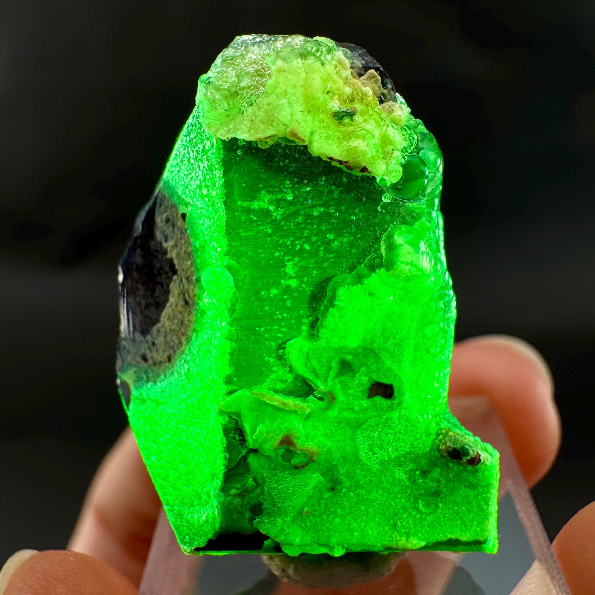 UV Reactive Hyalite Opal on Black Tourmaline | Fluorescent Mineral Specimen from Namibia