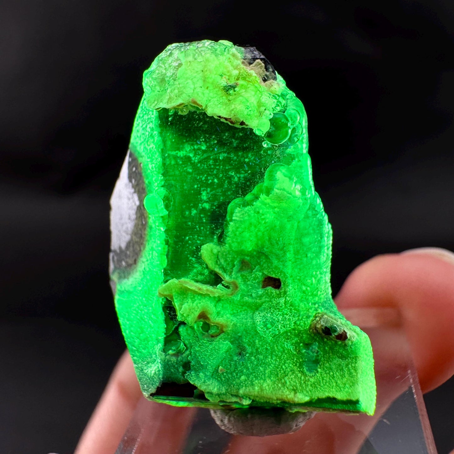 UV Reactive Hyalite Opal on Black Tourmaline | Fluorescent Mineral Specimen from Namibia