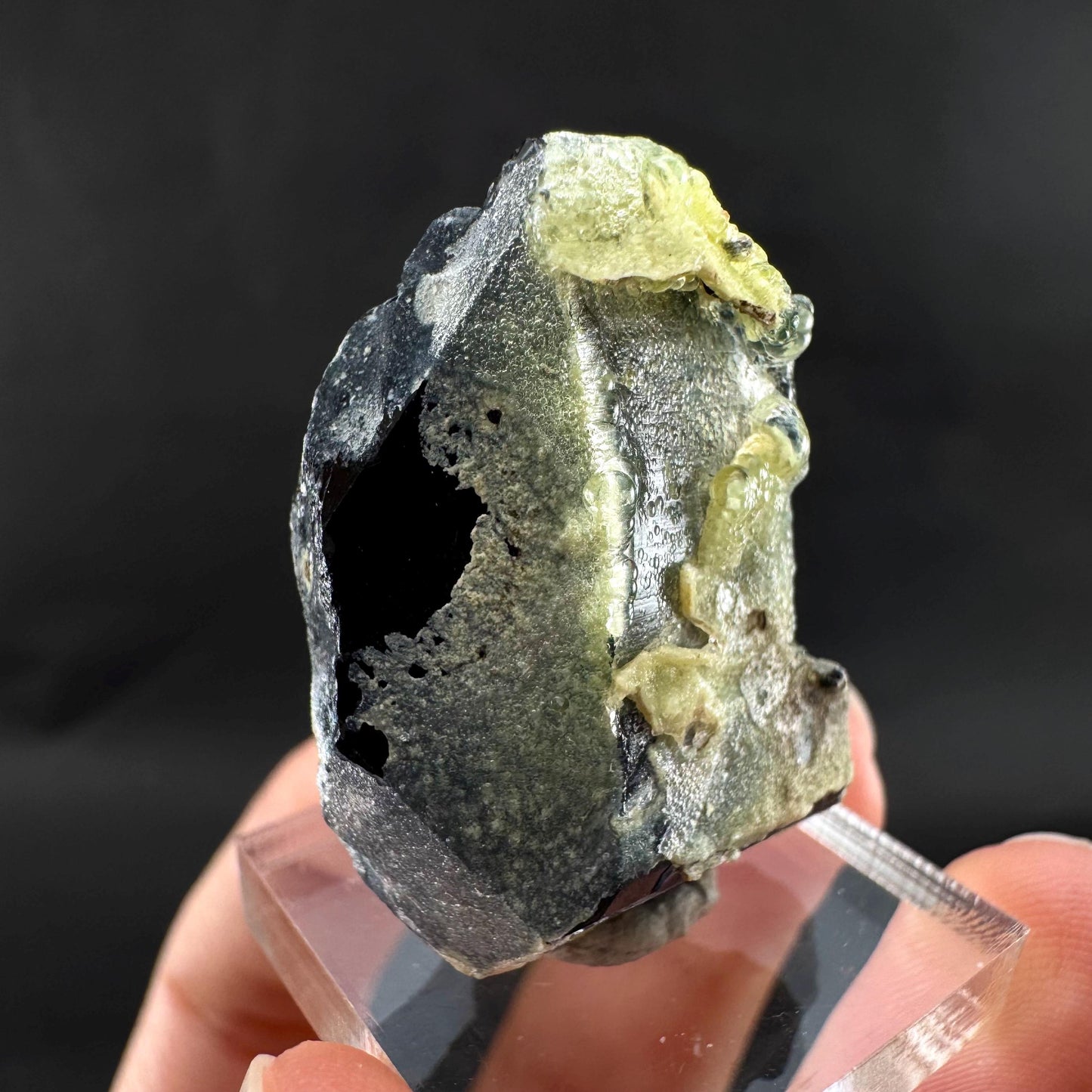 UV Reactive Hyalite Opal on Black Tourmaline | Fluorescent Mineral Specimen from Namibia