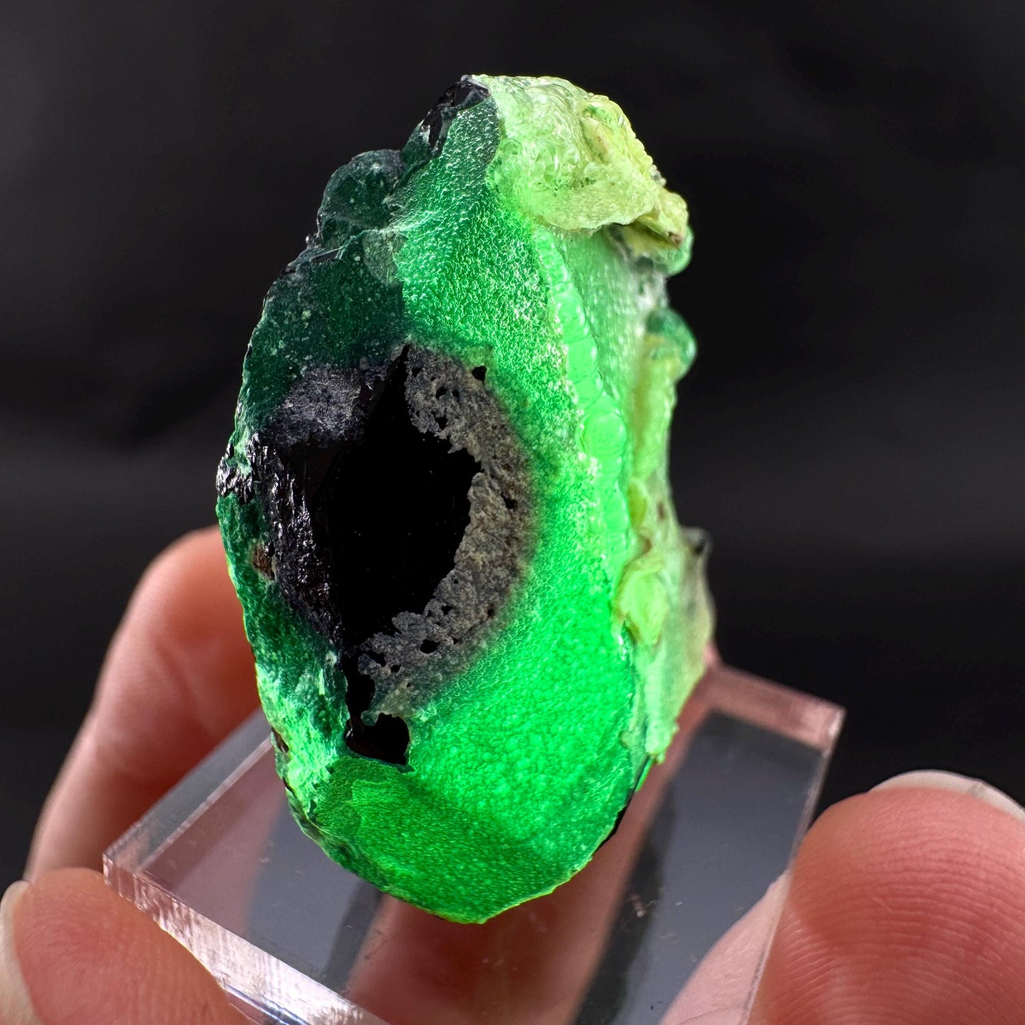 UV Reactive Hyalite Opal on Black Tourmaline | Fluorescent Mineral Specimen from Namibia
