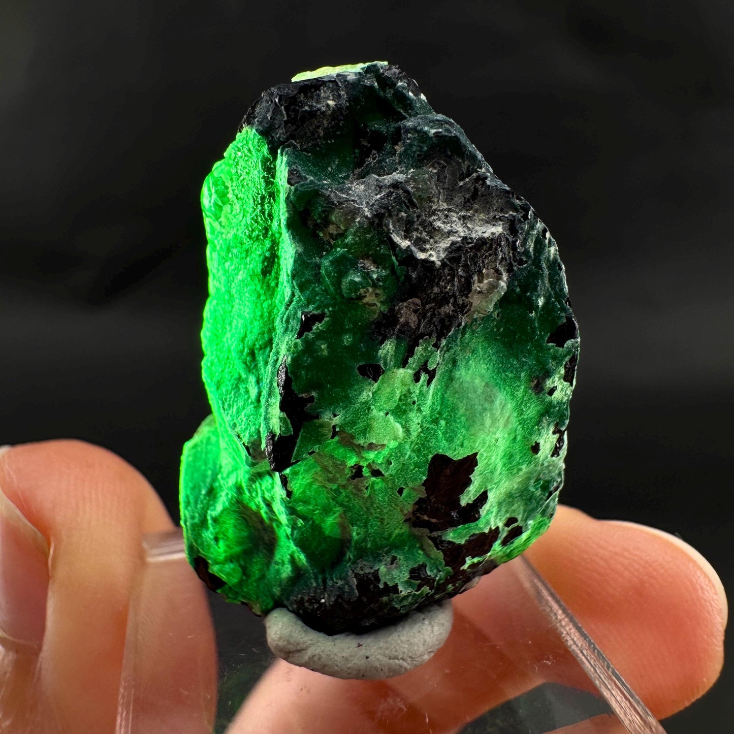 UV Reactive Hyalite Opal on Black Tourmaline | Fluorescent Mineral Specimen from Namibia