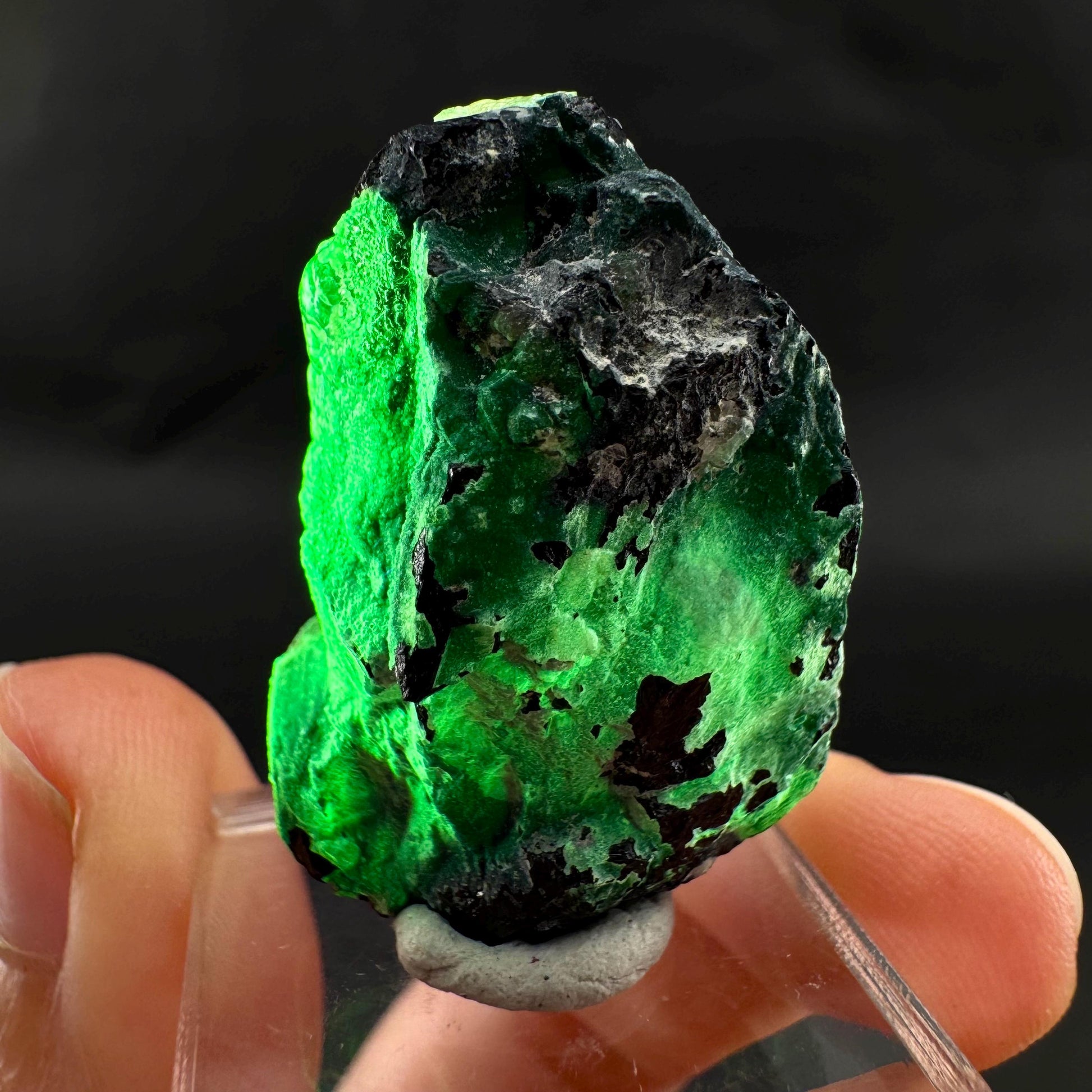 UV Reactive Hyalite Opal on Black Tourmaline | Fluorescent Mineral Specimen from Namibia