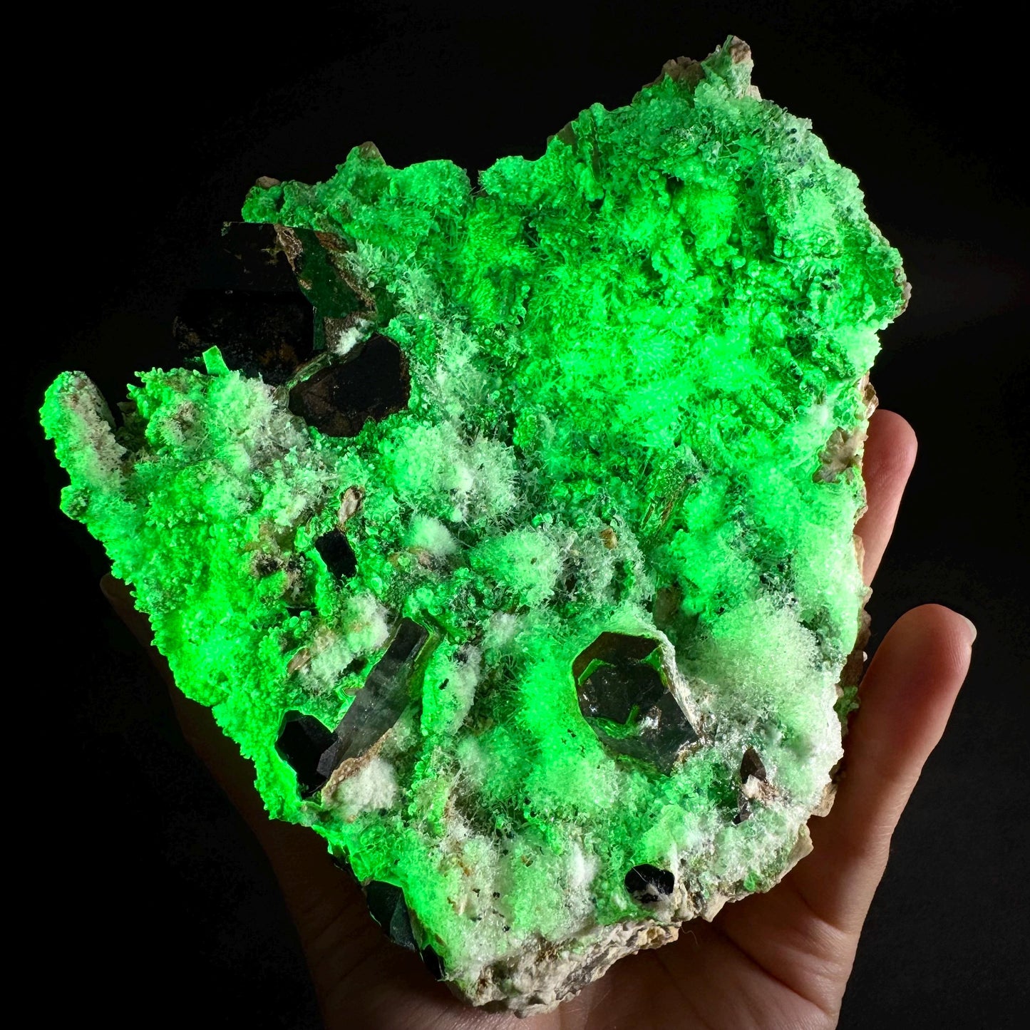 UV Reactive Hyalite Opal w/ Aquamarine & Black Tourmaline | Fluorescent Mineral Specimen from Namibia