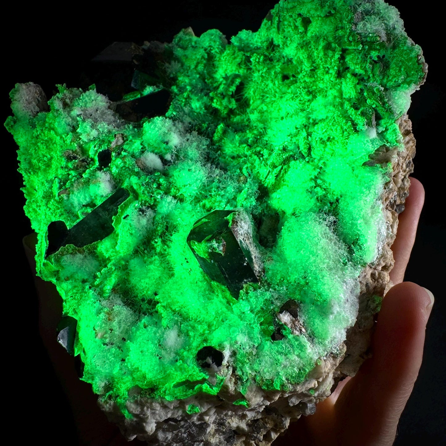 UV Reactive Hyalite Opal w/ Aquamarine & Black Tourmaline | Fluorescent Mineral Specimen from Namibia