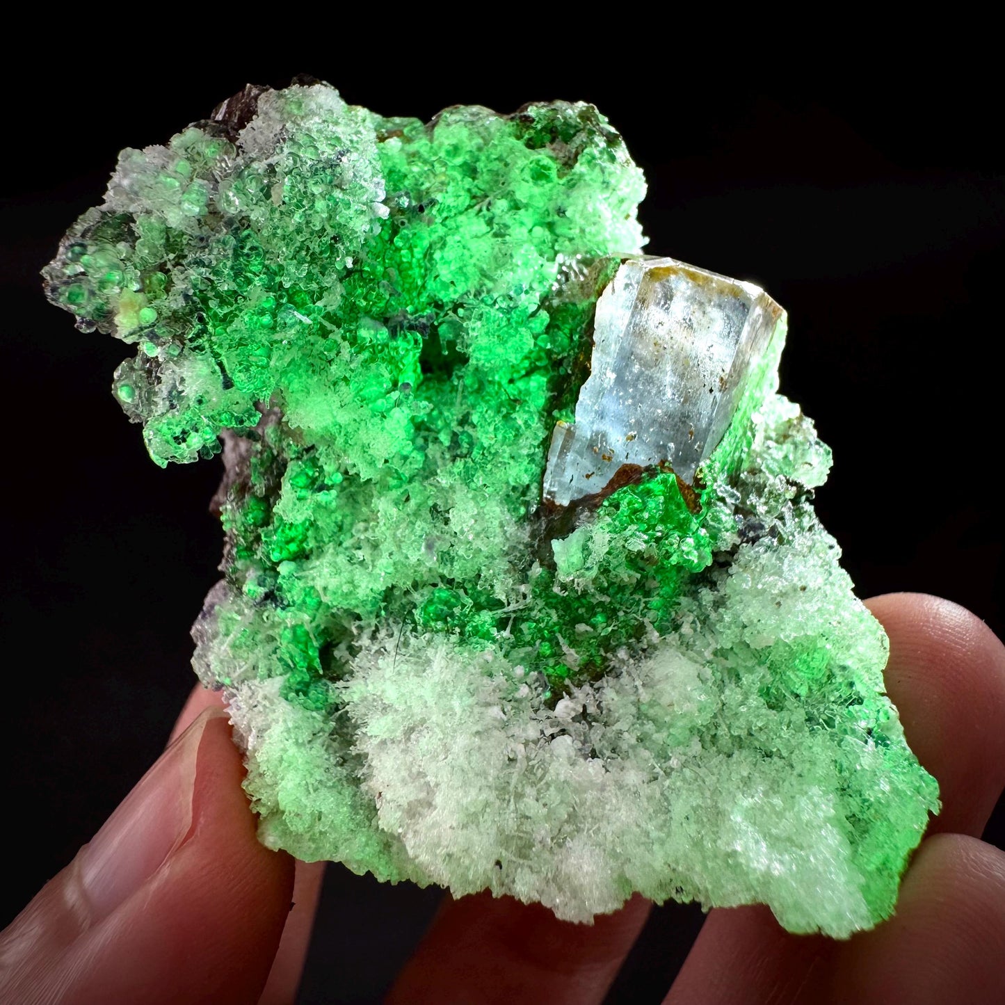 UV Reactive Hyalite Opal with Aquamarine | Fluorescent Mineral Specimen from Namibia