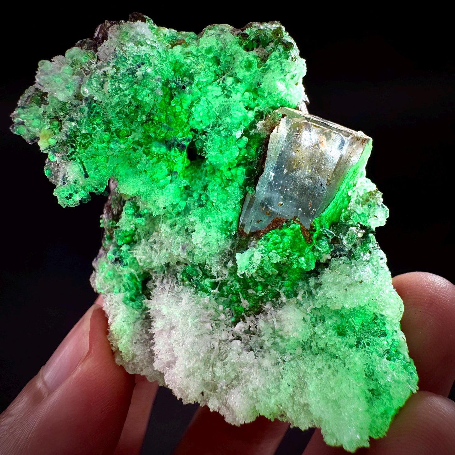 UV Reactive Hyalite Opal with Aquamarine | Fluorescent Mineral Specimen from Namibia