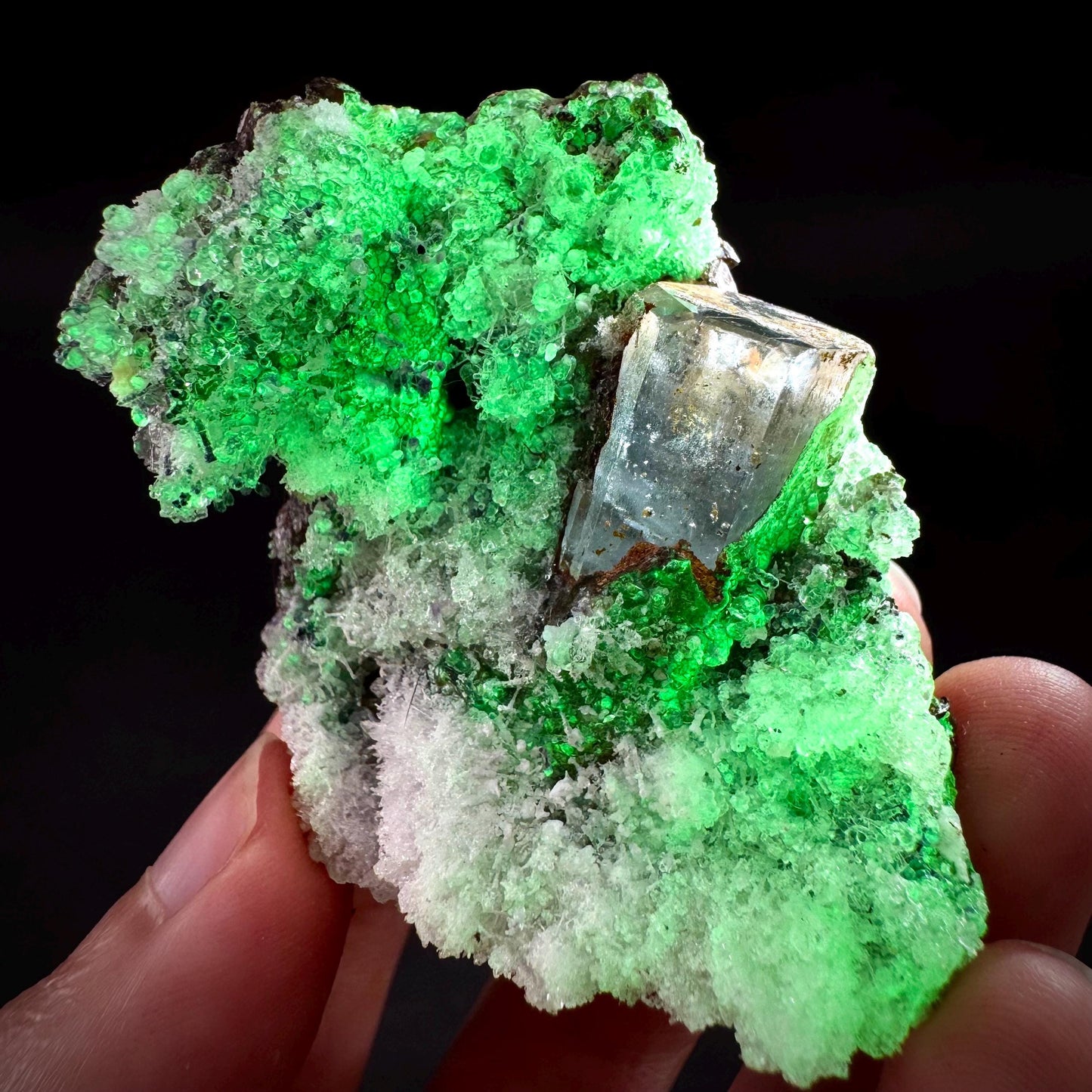 UV Reactive Hyalite Opal with Aquamarine | Fluorescent Mineral Specimen from Namibia