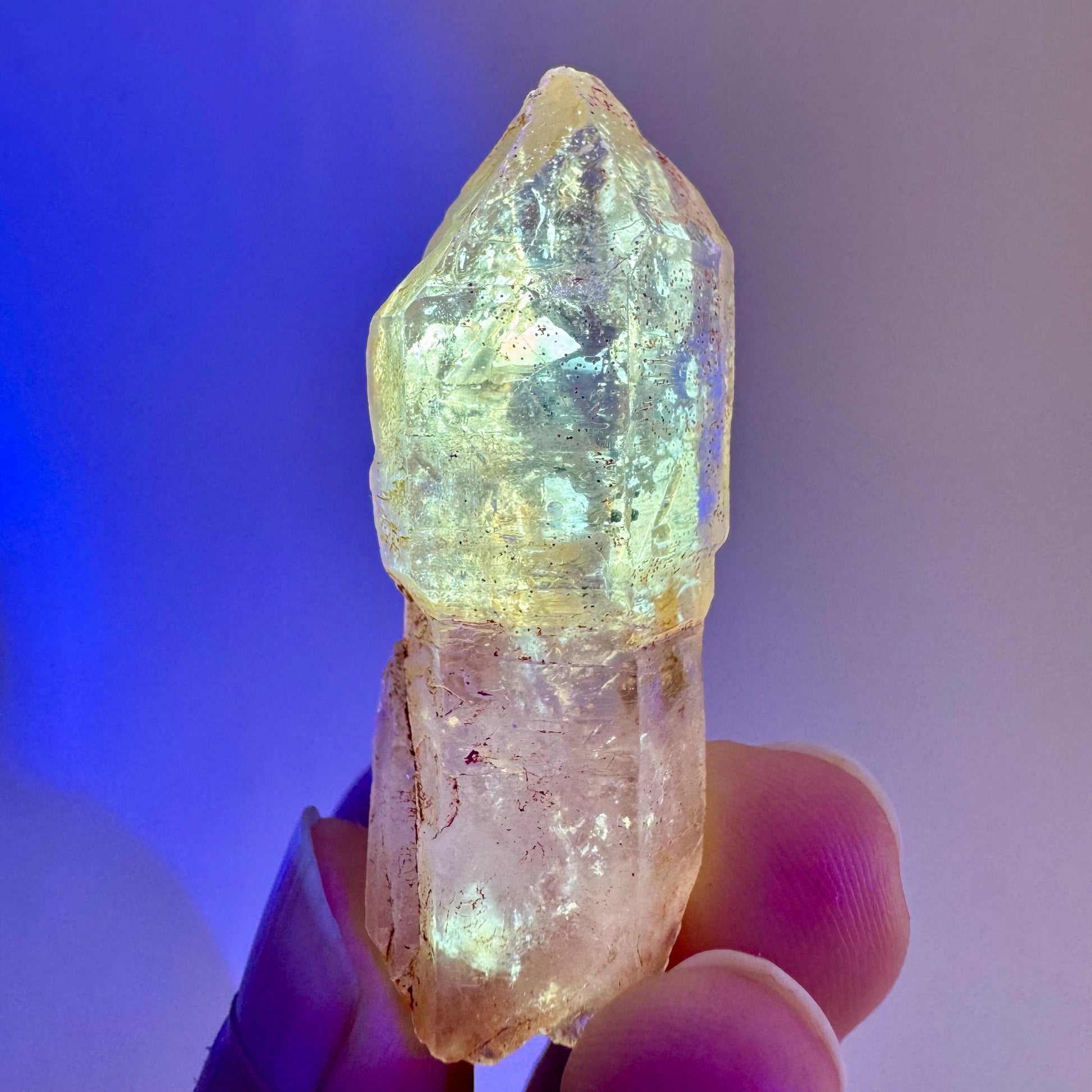 Firefly Petroleum Quartz Sceptre | UV reactive crystal, fluorescent mineral from Madagascar
