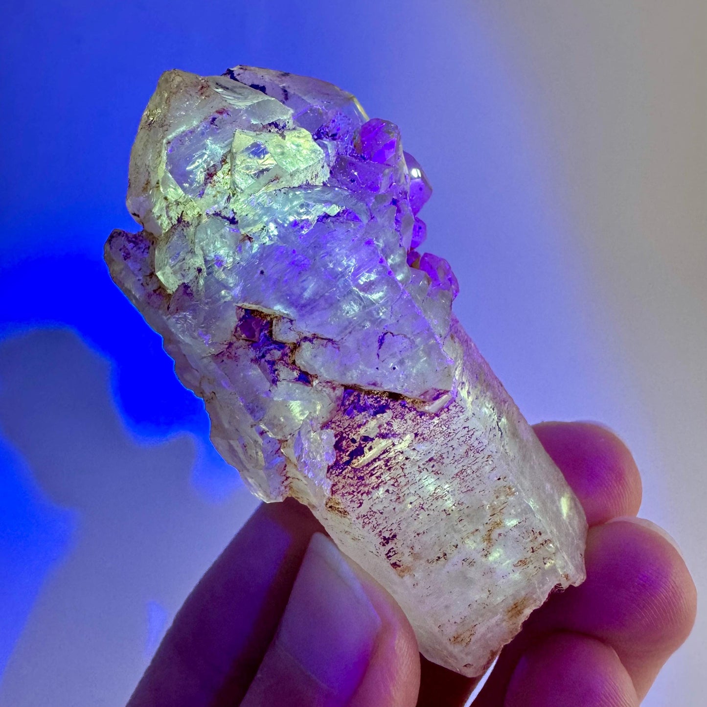 Firefly Petroleum Quartz Sceptre | UV reactive crystal, fluorescent mineral from Madagascar
