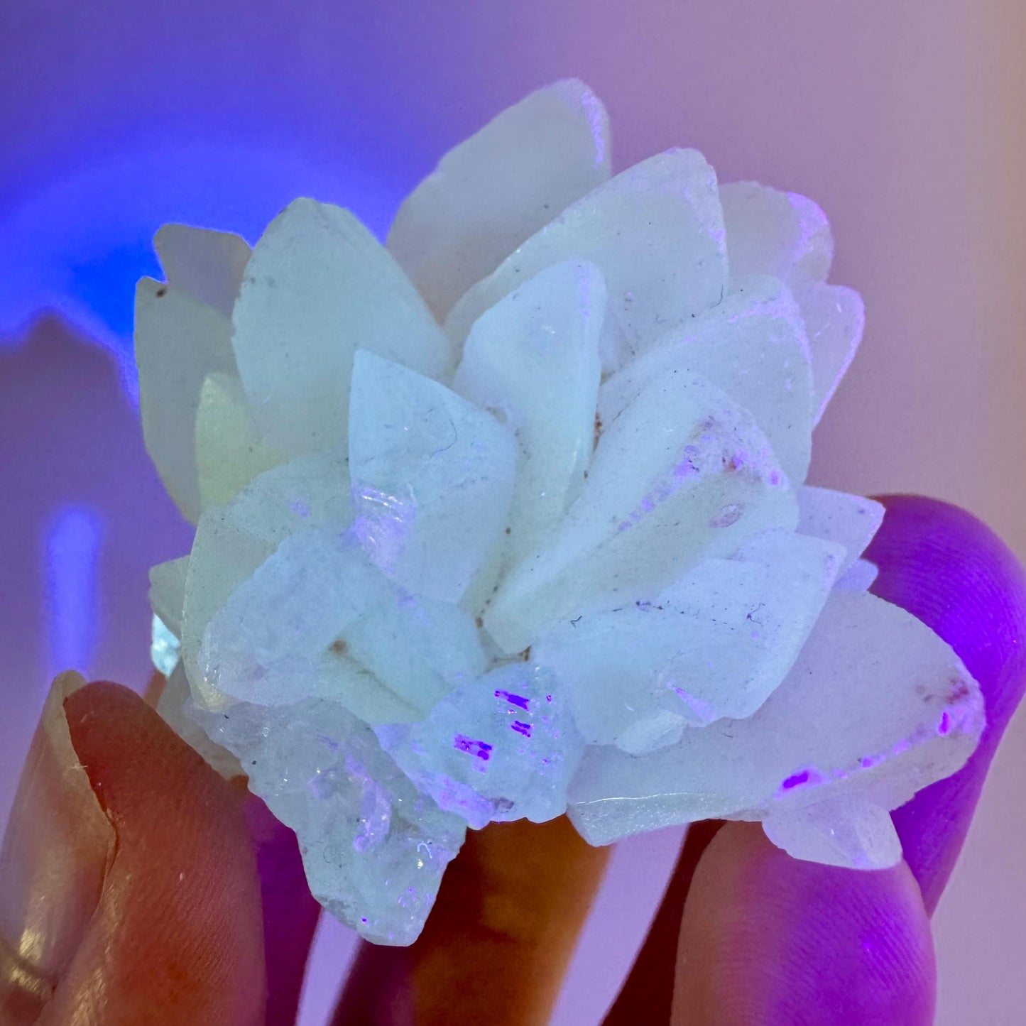 Fluorescent Calcite | UV-reactive raw crystal cluster, natural mineral specimen