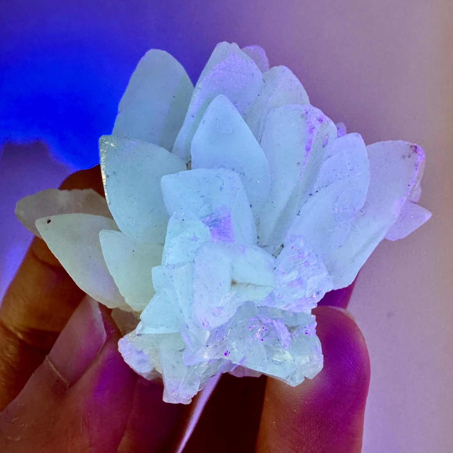 Fluorescent Calcite | UV-reactive raw crystal cluster, natural mineral specimen