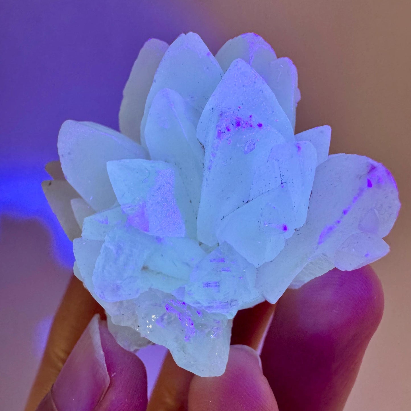Fluorescent Calcite | UV-reactive raw crystal cluster, natural mineral specimen