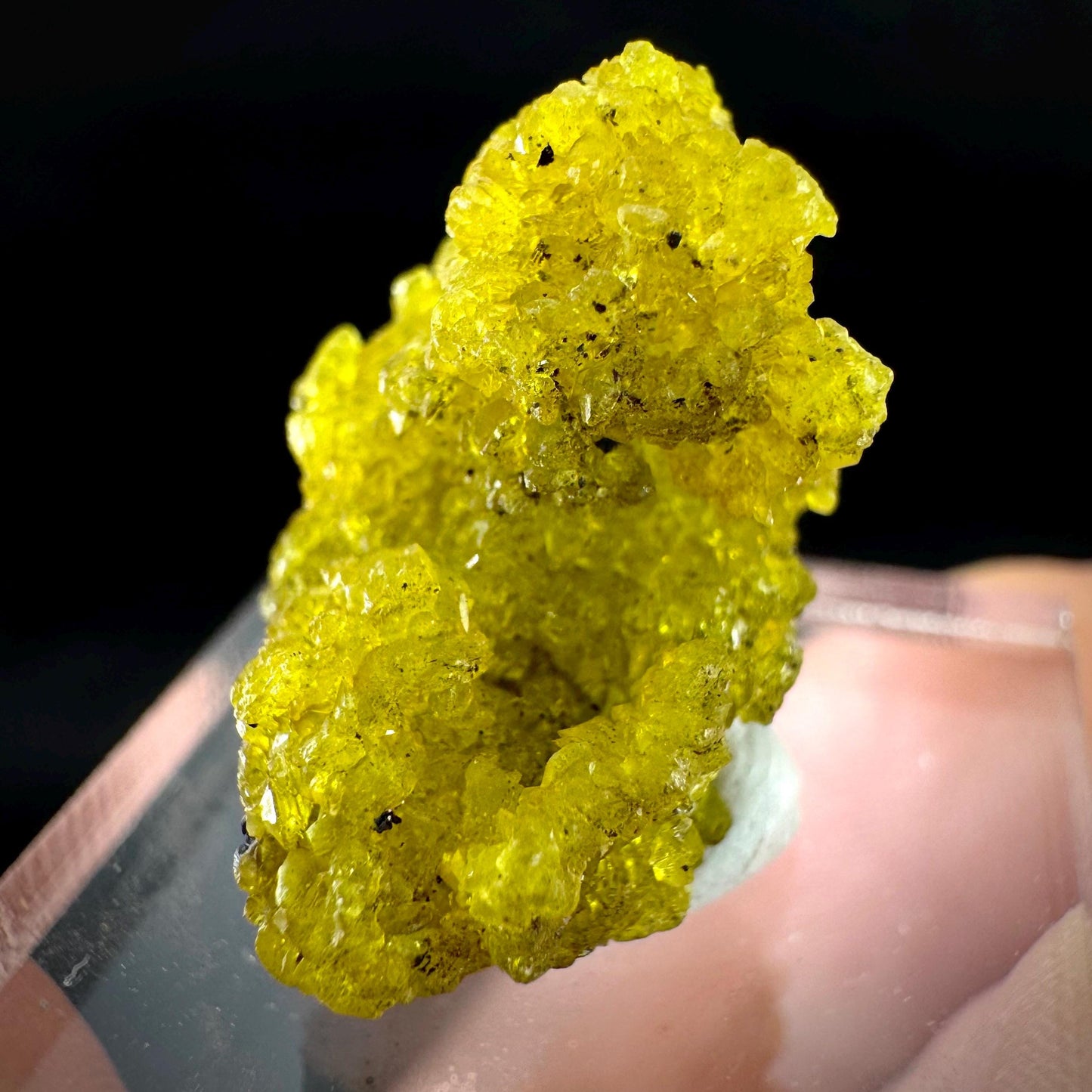 Ettringite Crystal Specimen | N'Chwaning Mine, South Africa
