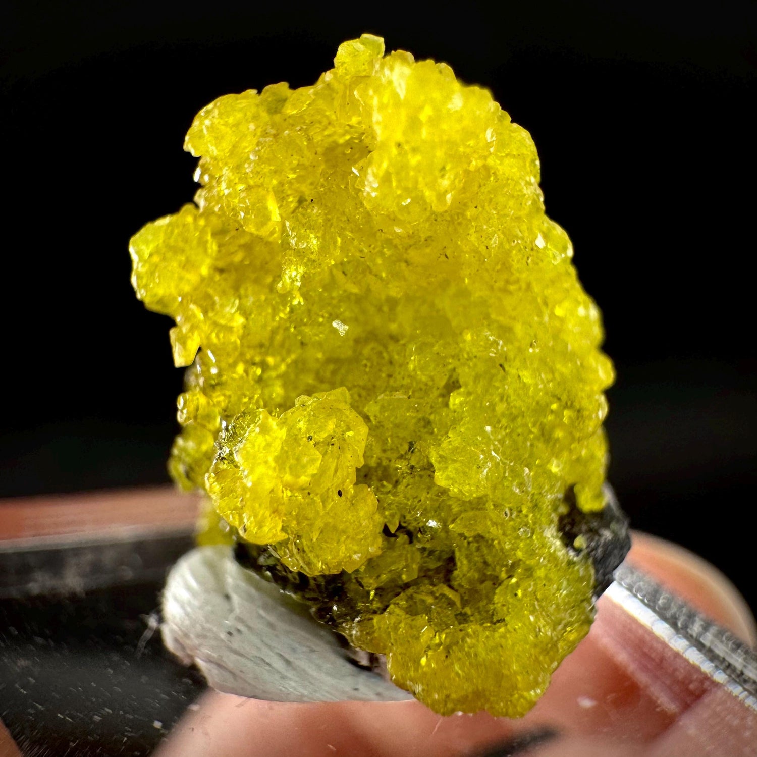 Ettringite Crystal Specimen | N'Chwaning Mine, South Africa