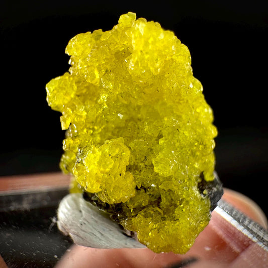 Ettringite Crystal Specimen | N'Chwaning Mine, South Africa