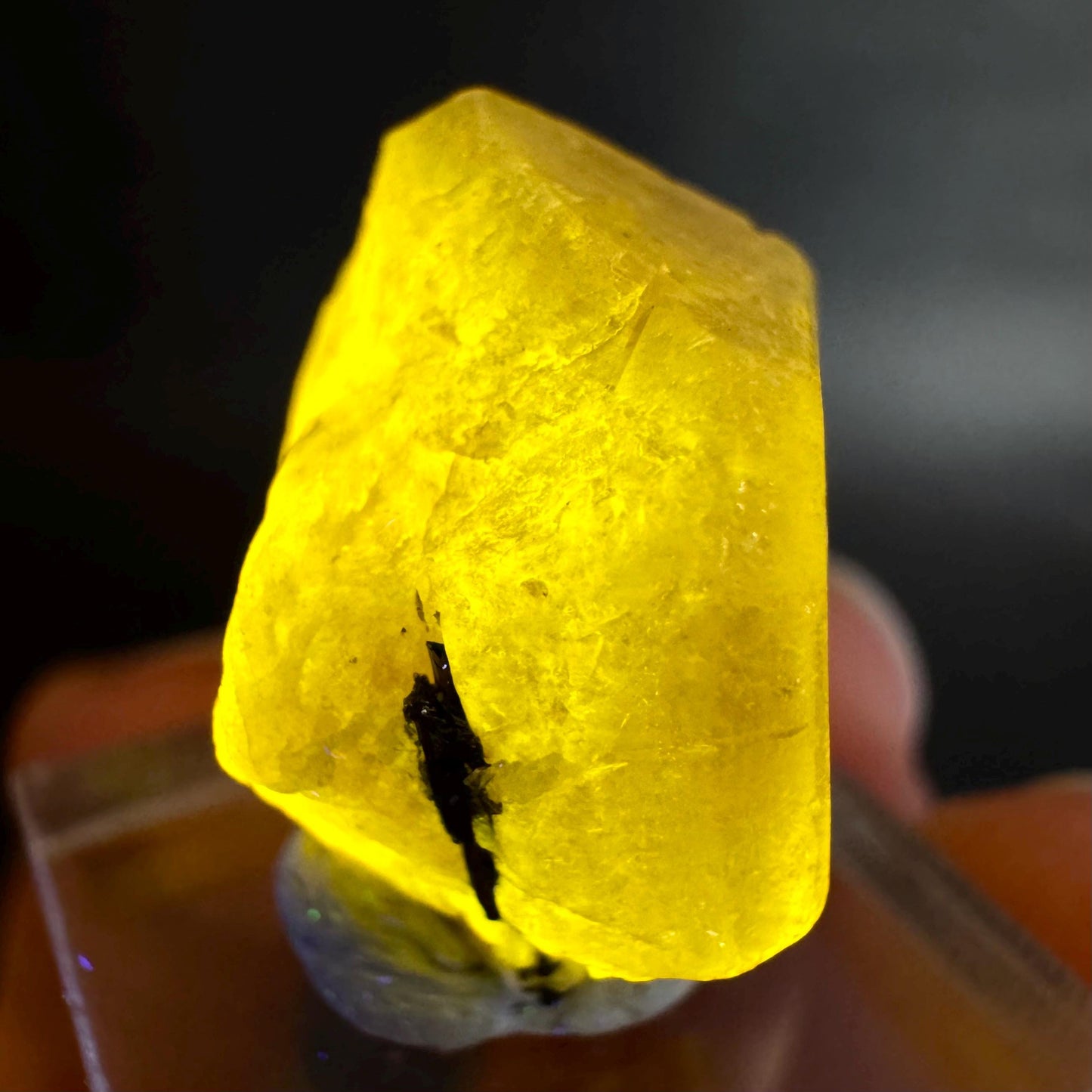 Pink Fluorapatite w/ Black Tourmaline | UV reactive crystal, rare mineral specimen from Pakistan