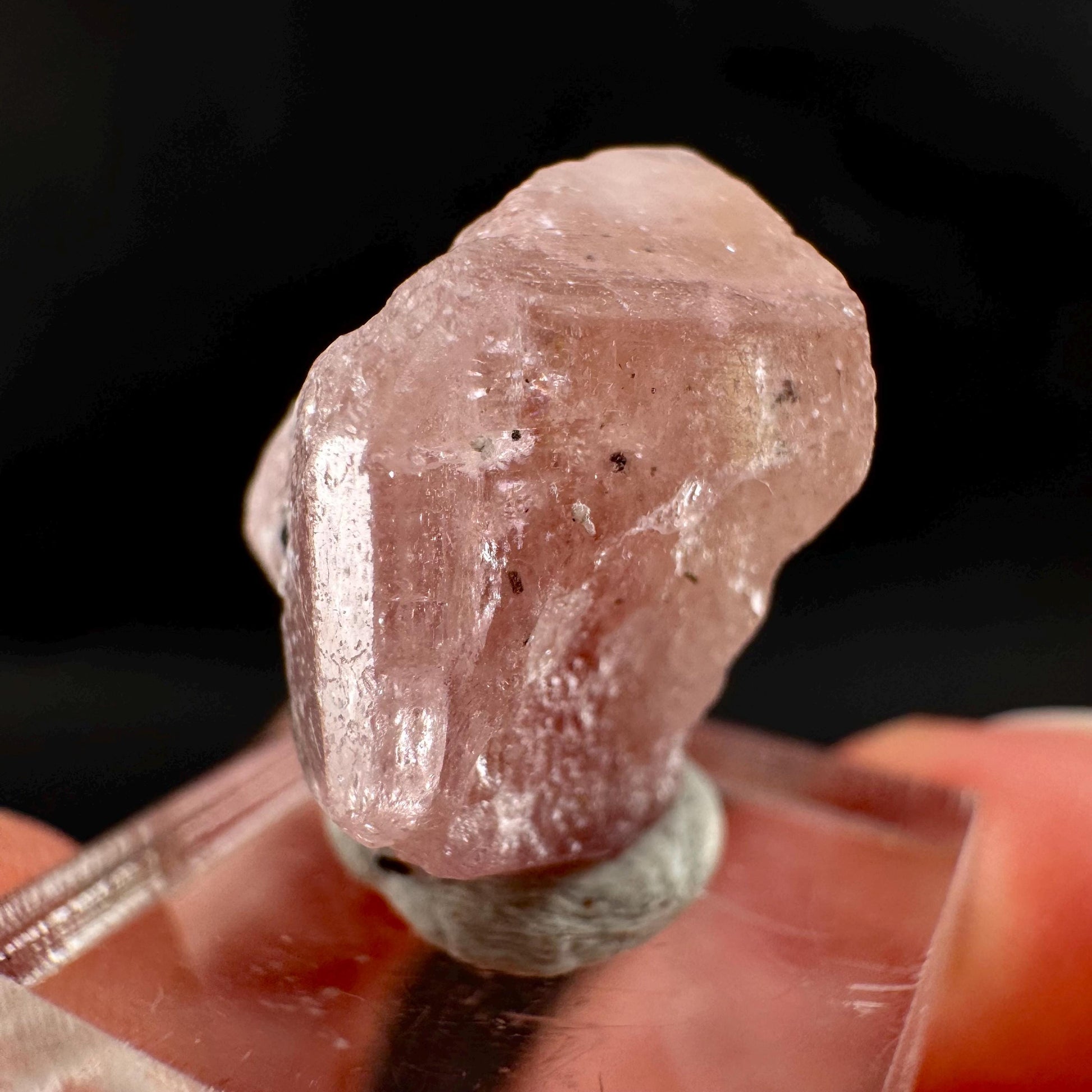 Pink Fluorapatite w/ Black Tourmaline | UV reactive crystal, rare mineral specimen from Pakistan