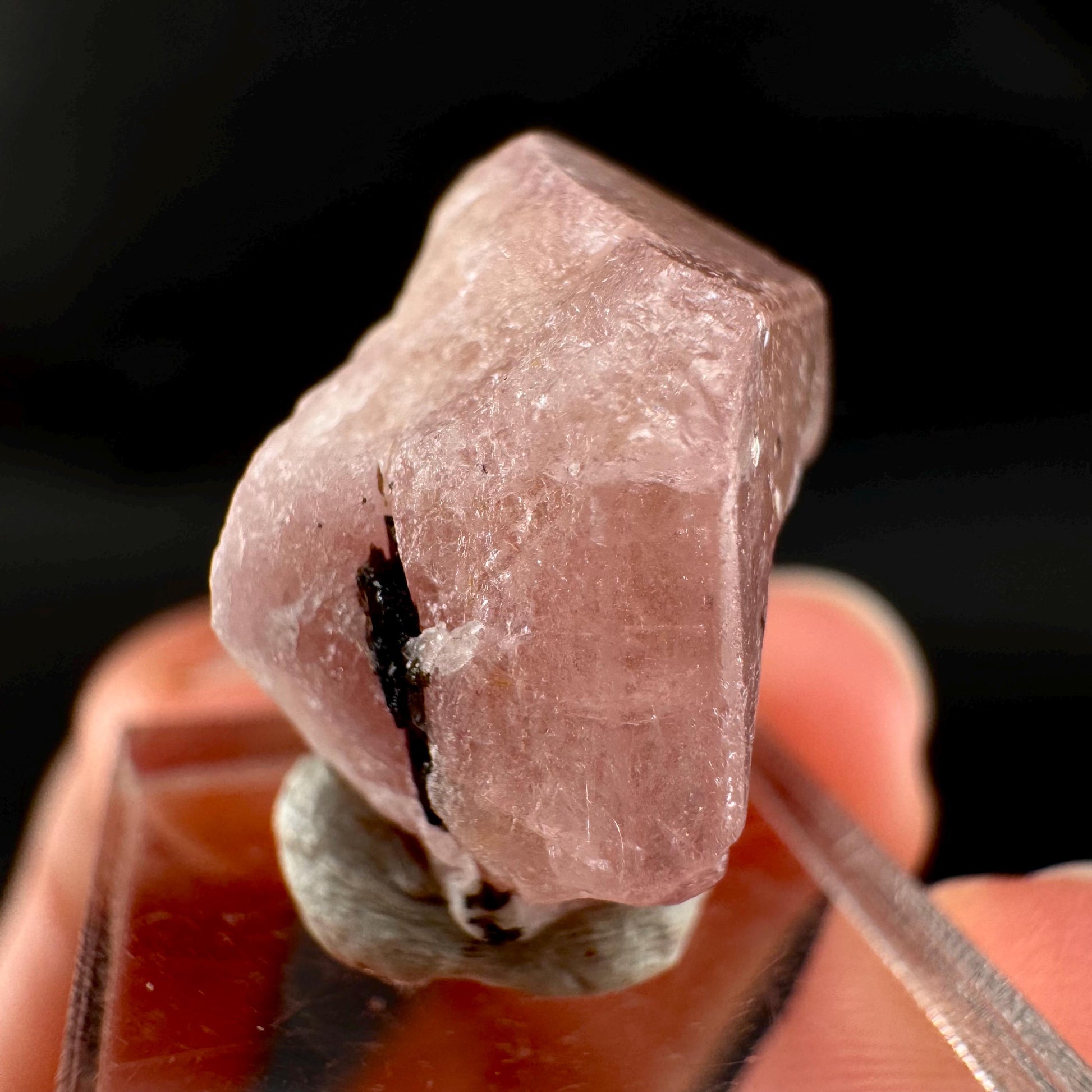Pink Fluorapatite w/ Black Tourmaline | UV reactive crystal, rare mineral specimen from Pakistan