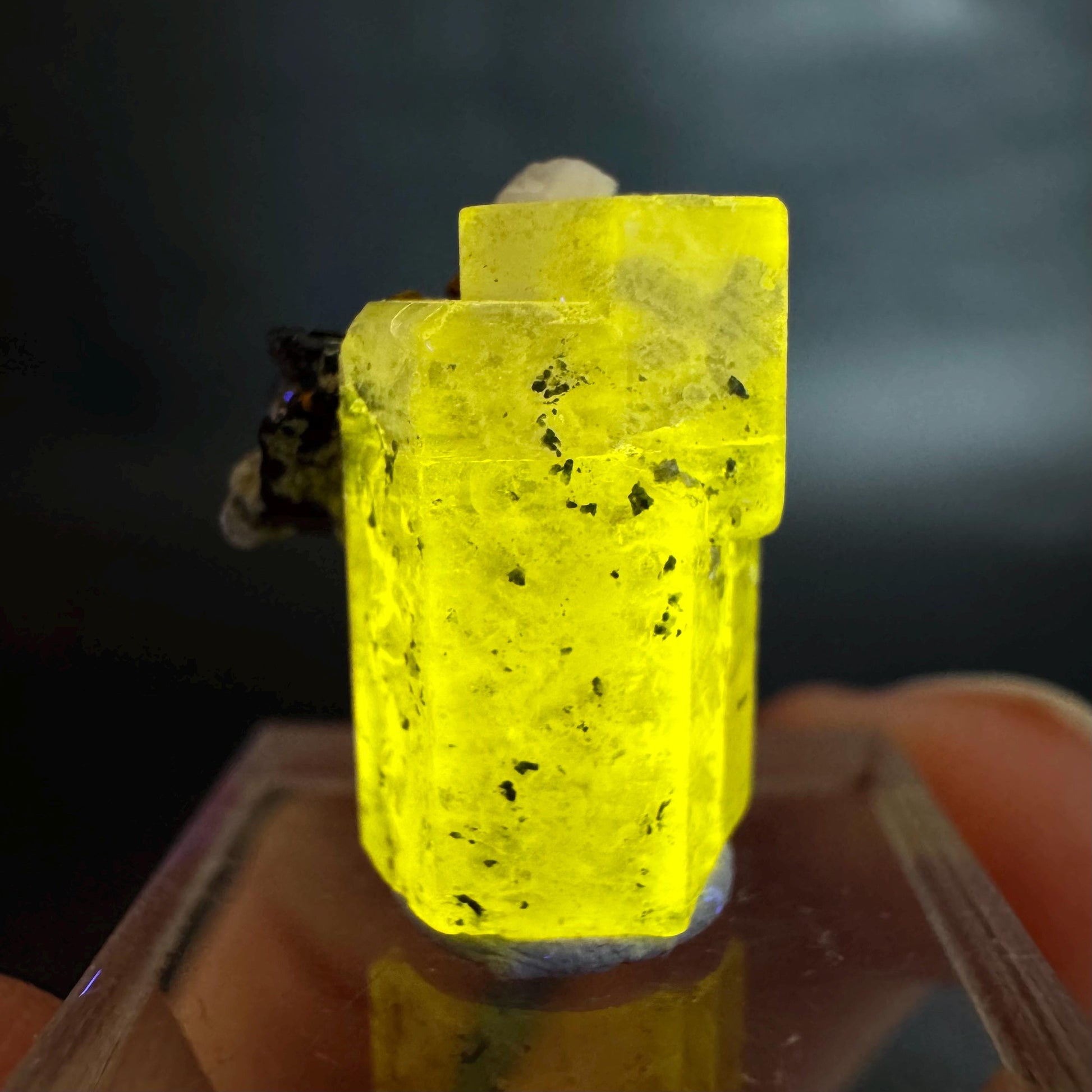 Pink Fluorapatite w/ Black Tourmaline | UV reactive crystal, rare mineral specimen from Pakistan