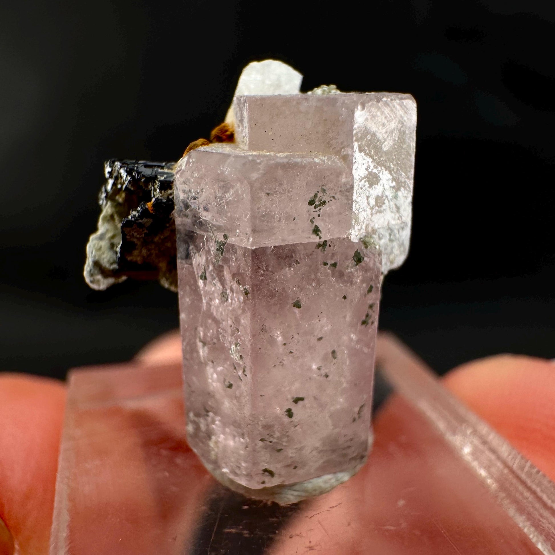 Pink Fluorapatite w/ Black Tourmaline | UV reactive crystal, rare mineral specimen from Pakistan