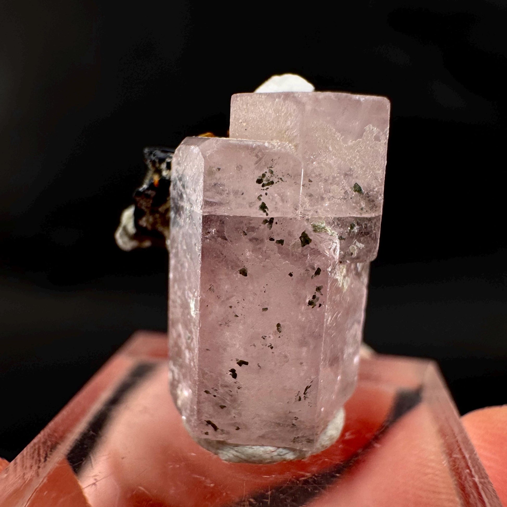 Pink Fluorapatite w/ Black Tourmaline | UV reactive crystal, rare mineral specimen from Pakistan