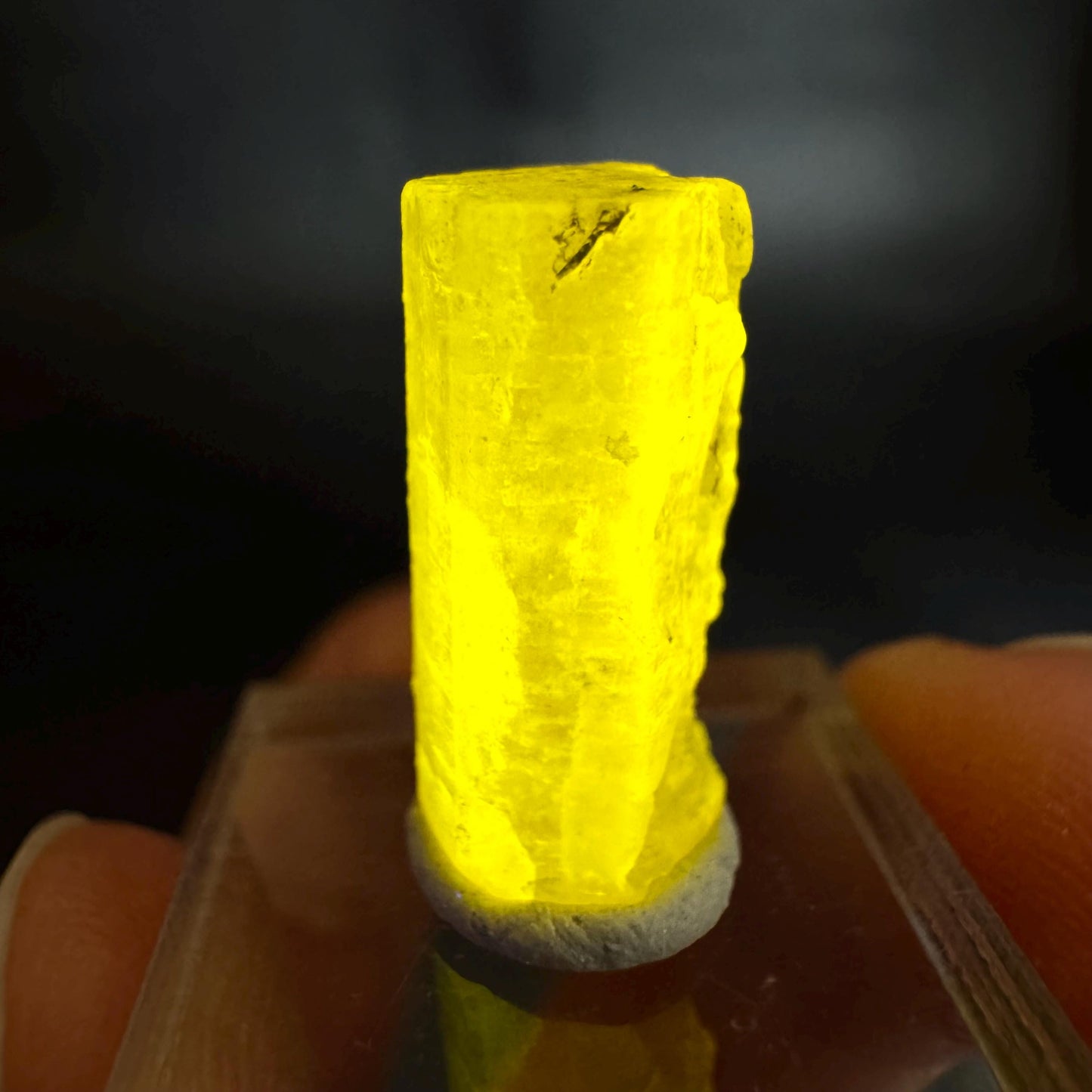 Pink Fluorapatite Crystal | UV reactive Mineral Specimen from Pakistan