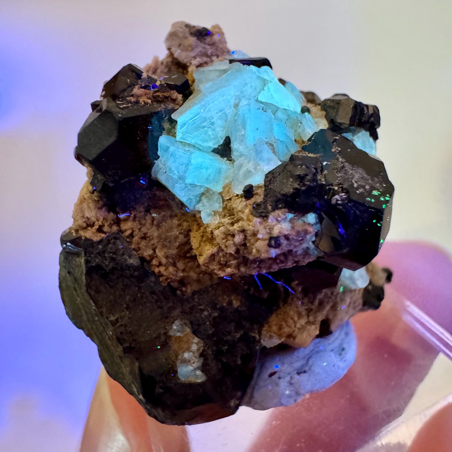 Chlorophane Fluorite w/ Black Tourmaline | natural crystal, rare mineral specimen from Erongo, Namibia