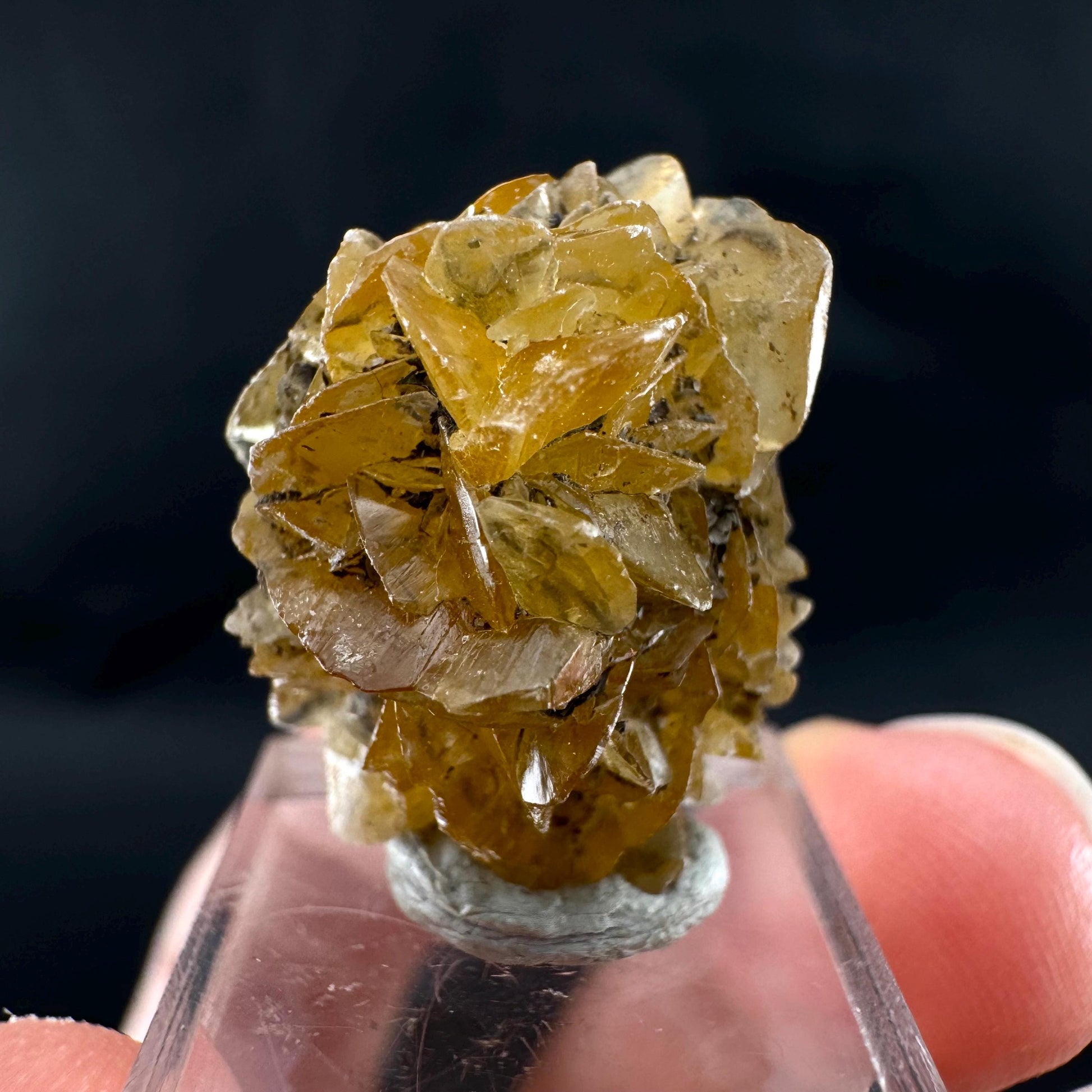 Golden Selenite Rosette | Fluorescent UV Reactive Gypsum Crystal