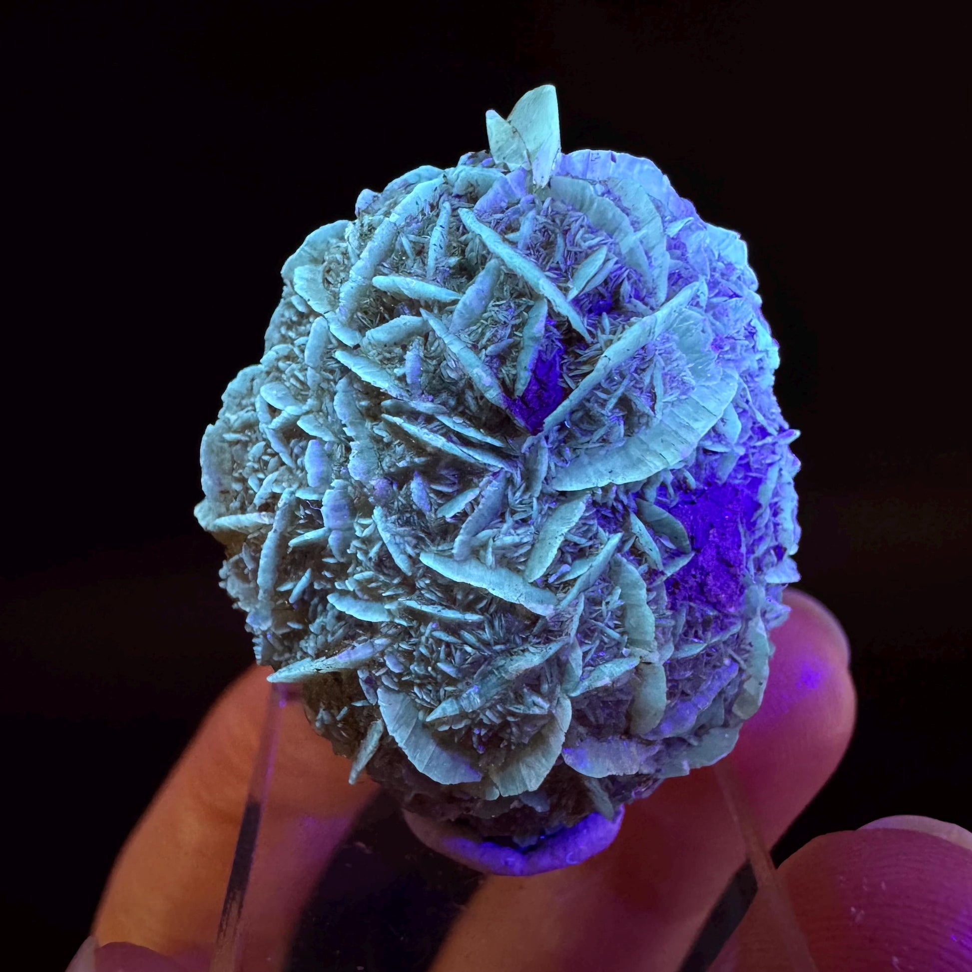 Golden Selenite Rosette | Fluorescent UV Reactive Gypsum Crystal