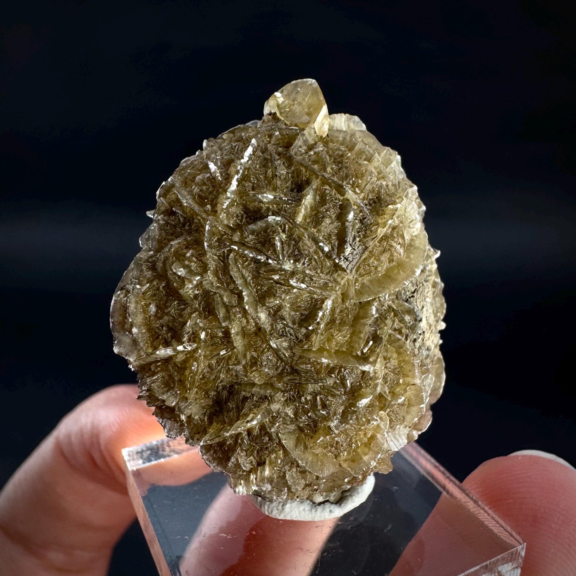 Golden Selenite Rosette | Fluorescent UV Reactive Gypsum Crystal