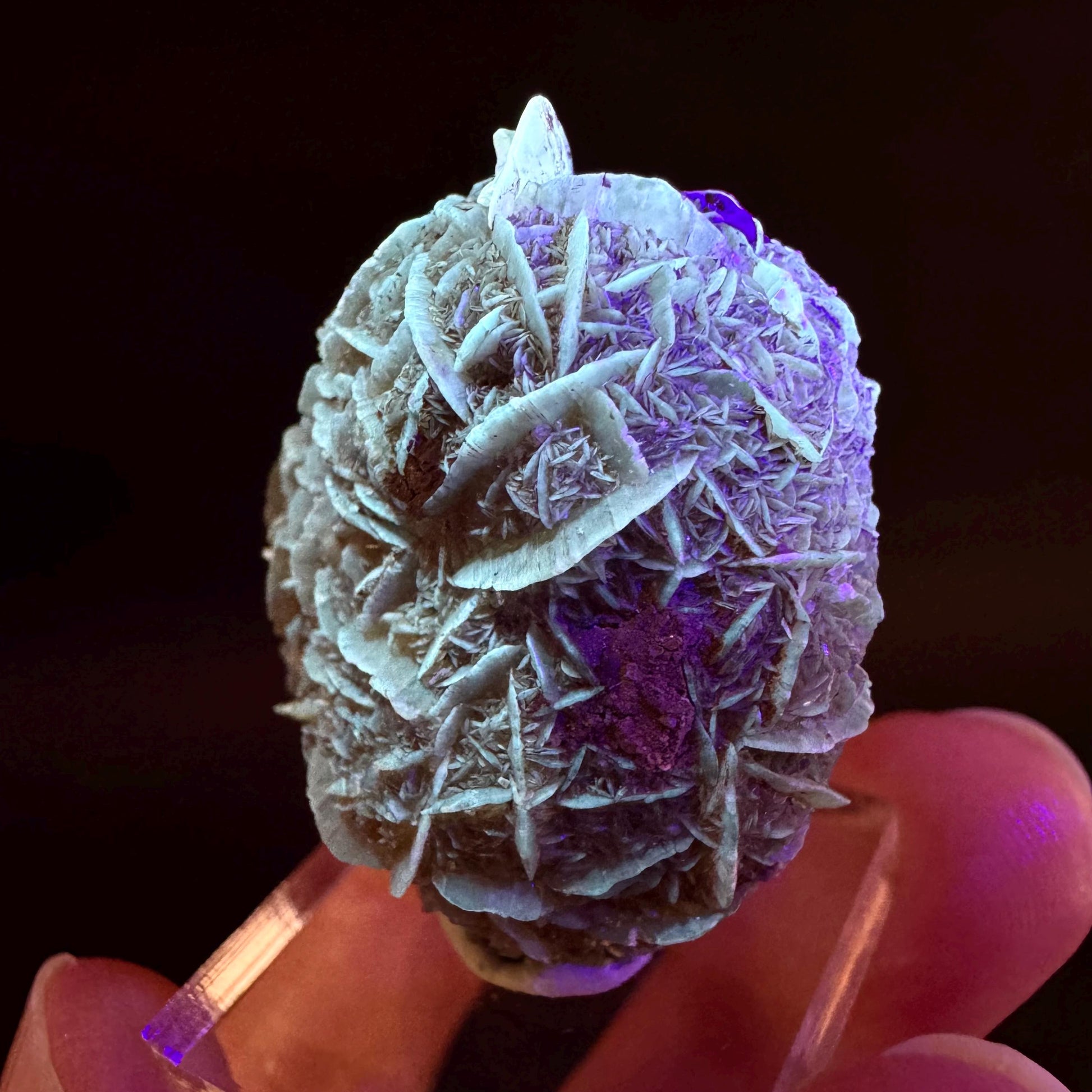 Golden Selenite Rosette | Fluorescent UV Reactive Gypsum Crystal