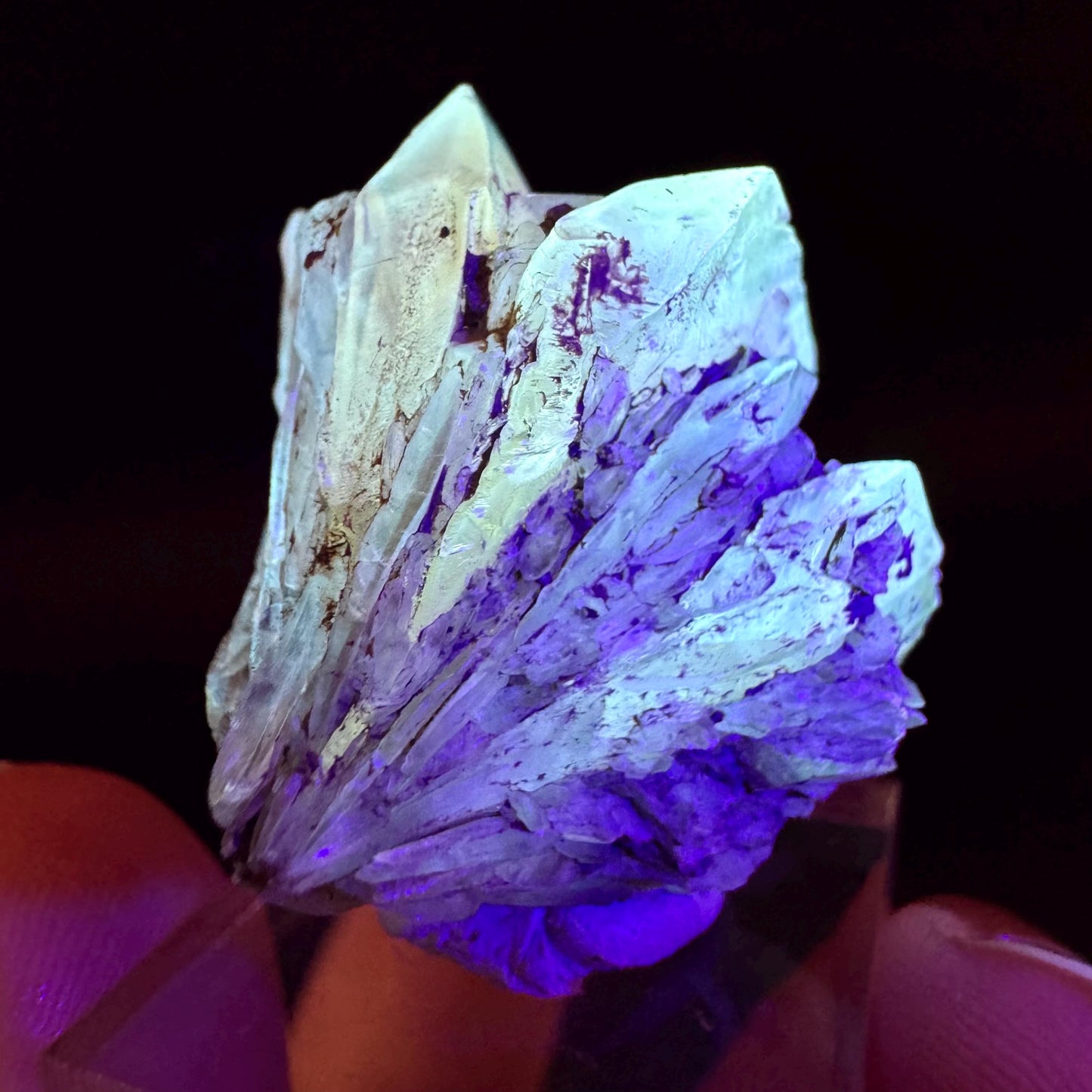 Golden Selenite Rosette | Fluorescent UV Reactive Gypsum Crystal