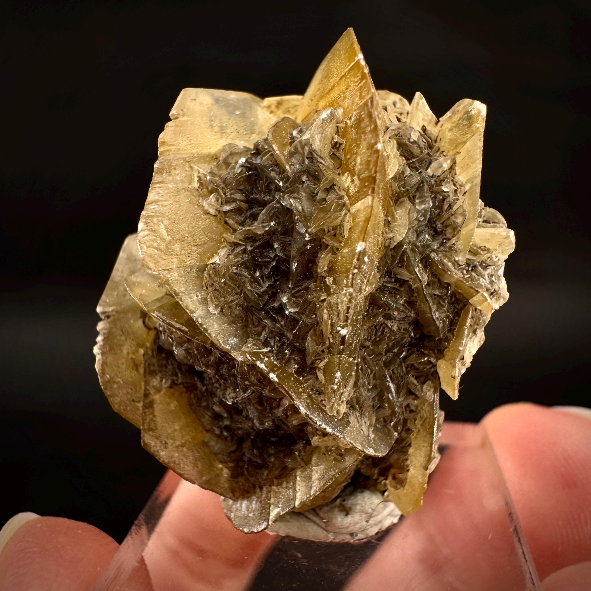 Golden Selenite Rosette | Fluorescent UV Reactive Gypsum Crystal