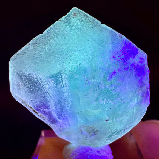 Golden Selenite Blade | Fluorescent UV Reactive Gypsum Crystal