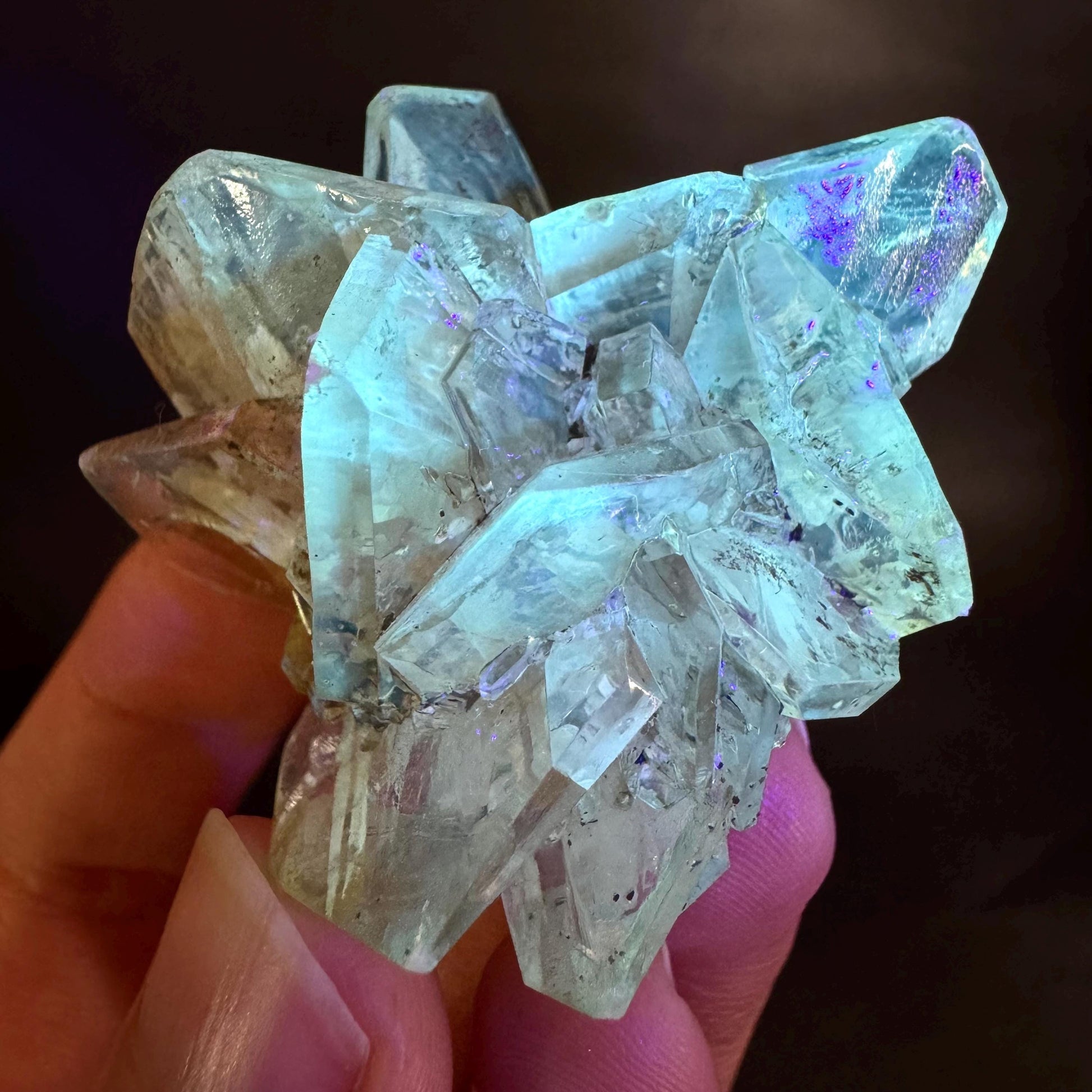 Golden Selenite Rosette | Fluorescent UV Reactive Gypsum Crystal