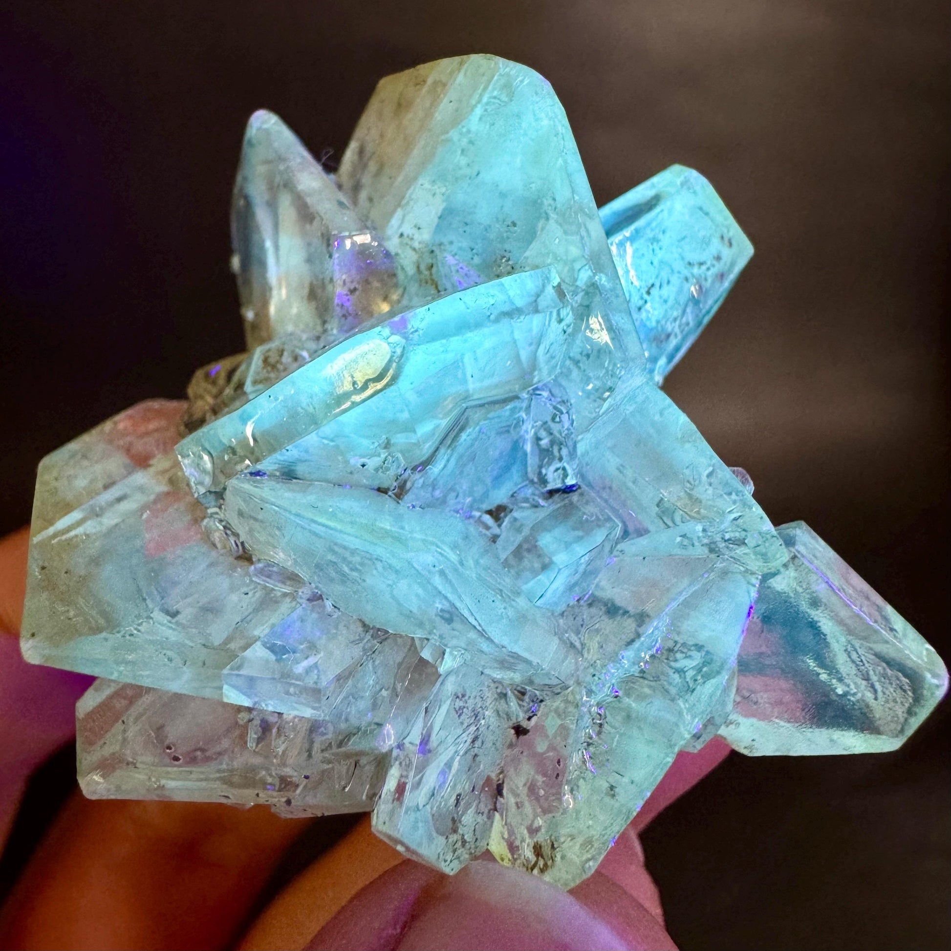 Golden Selenite Rosette | Fluorescent UV Reactive Gypsum Crystal