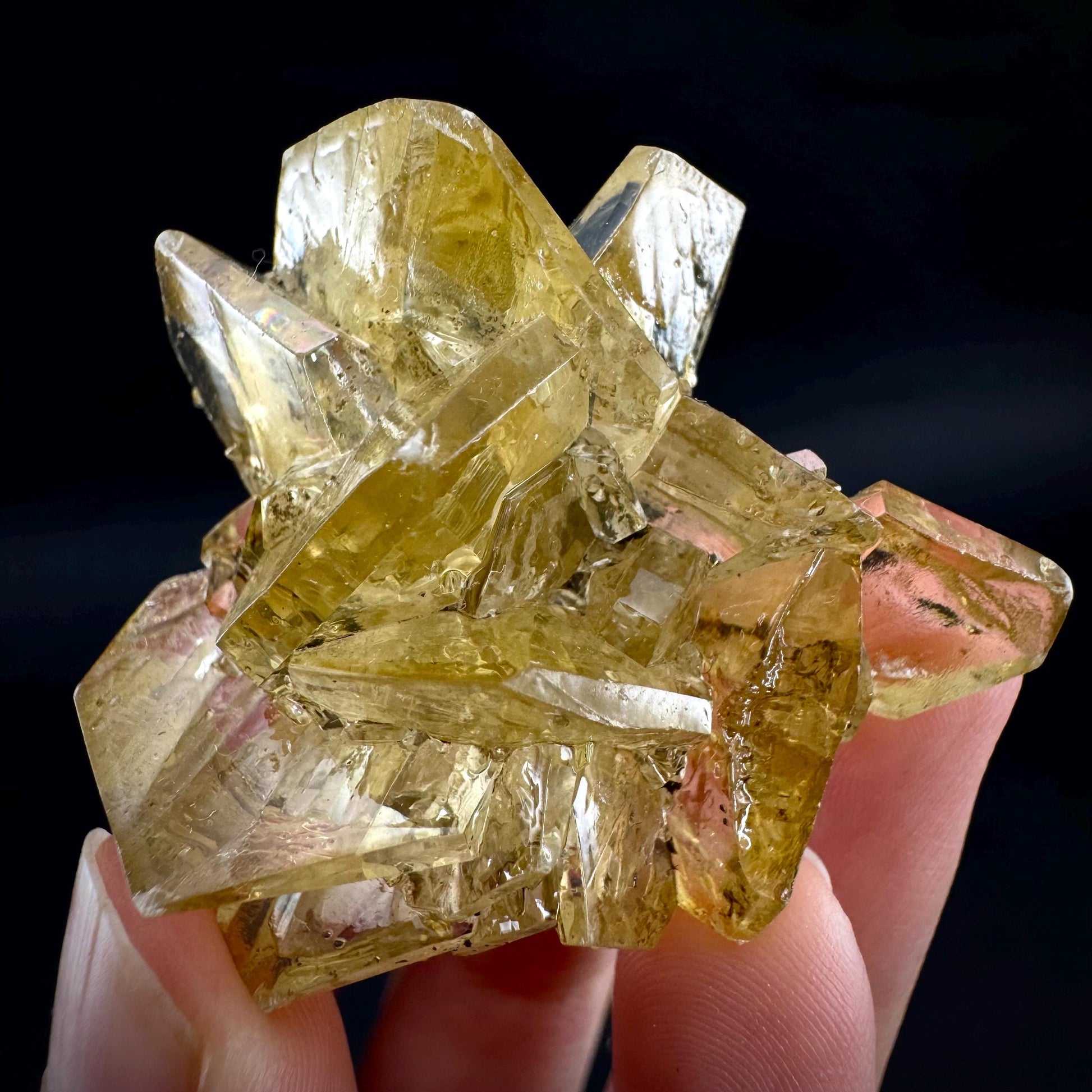 Golden Selenite Rosette | Fluorescent UV Reactive Gypsum Crystal